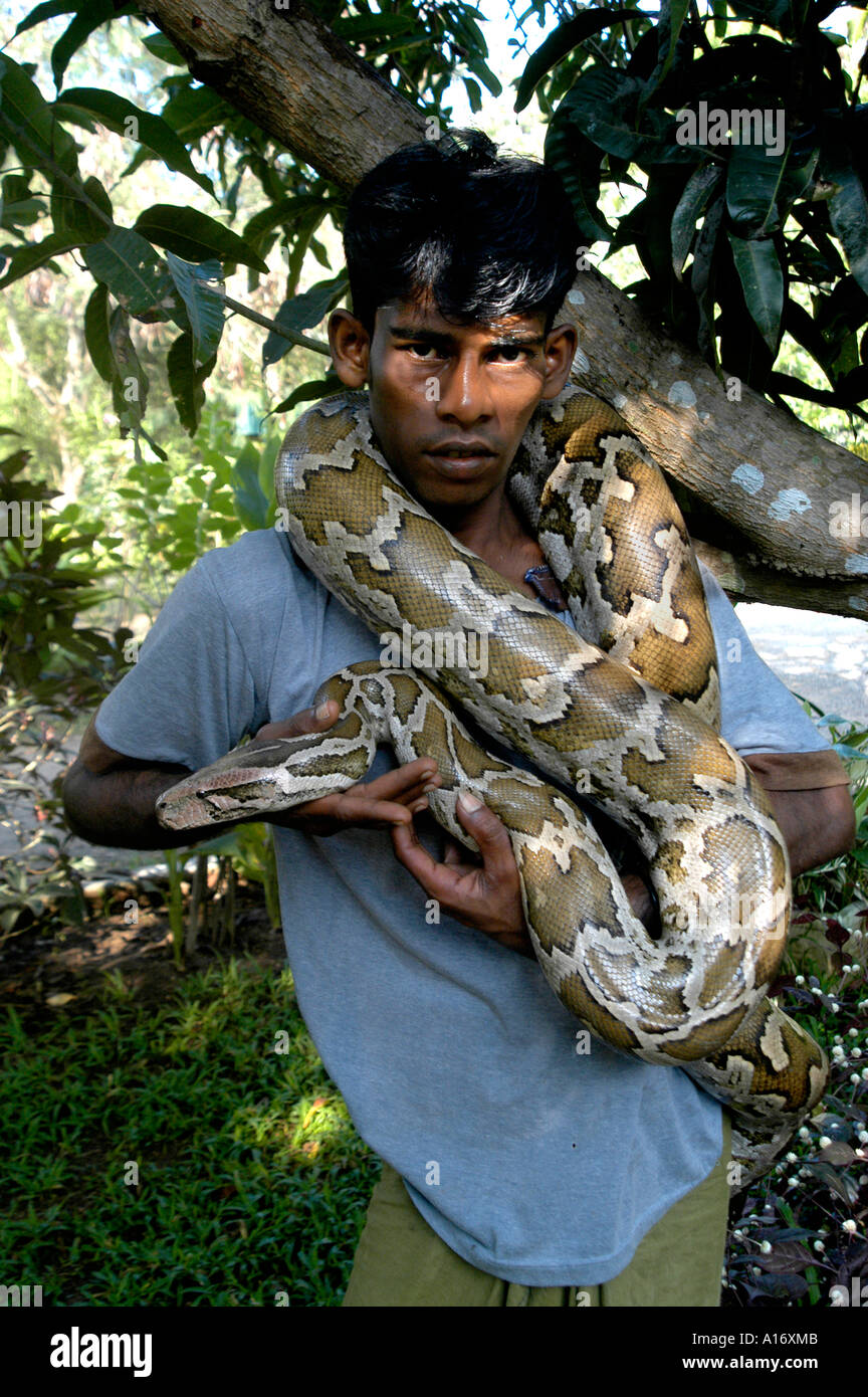 Sri Lanka steenager teen snake boy teenager Stock Photo - Alamy