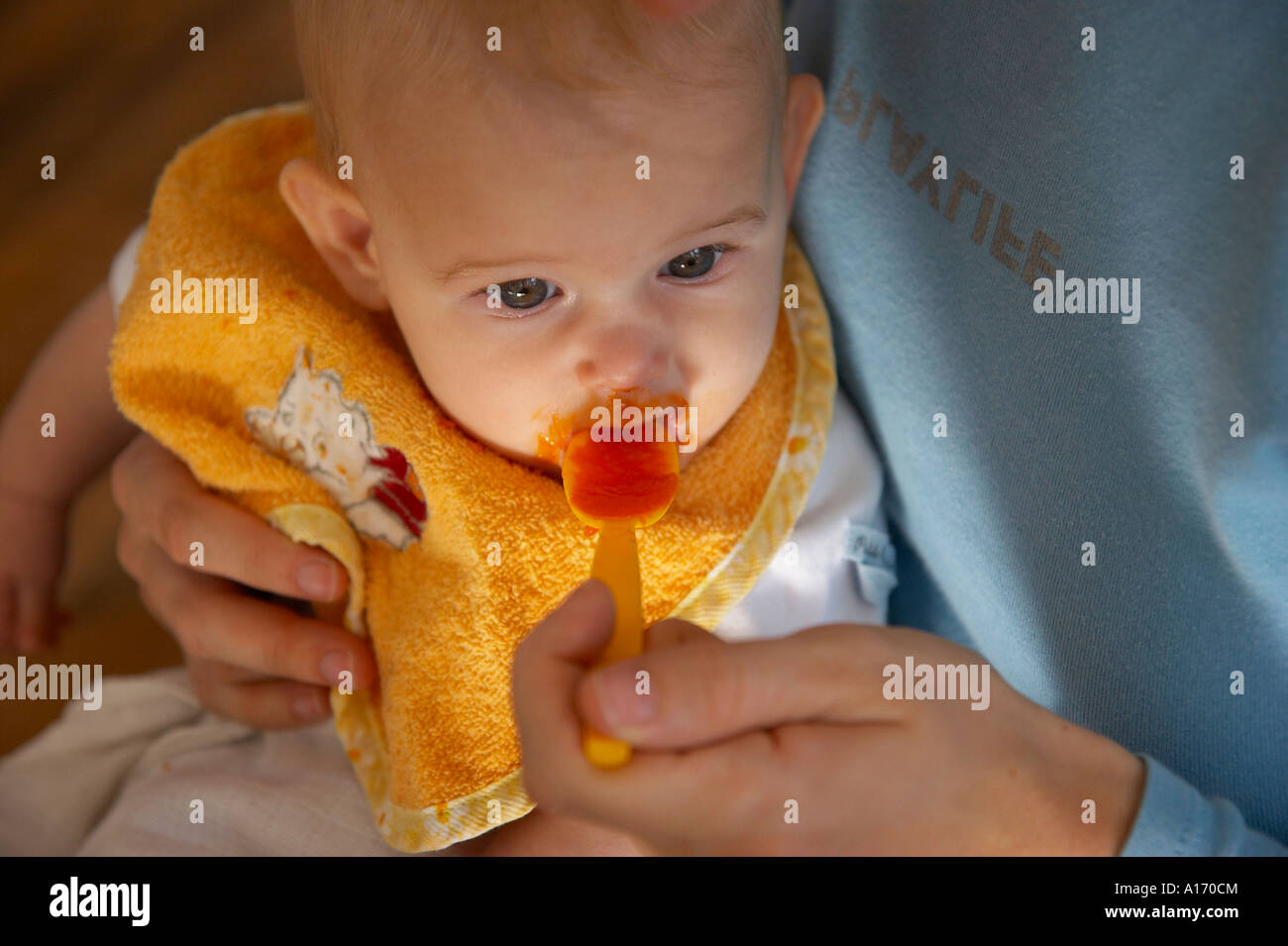 baby eating carrot mash Stock Photo Alamy
