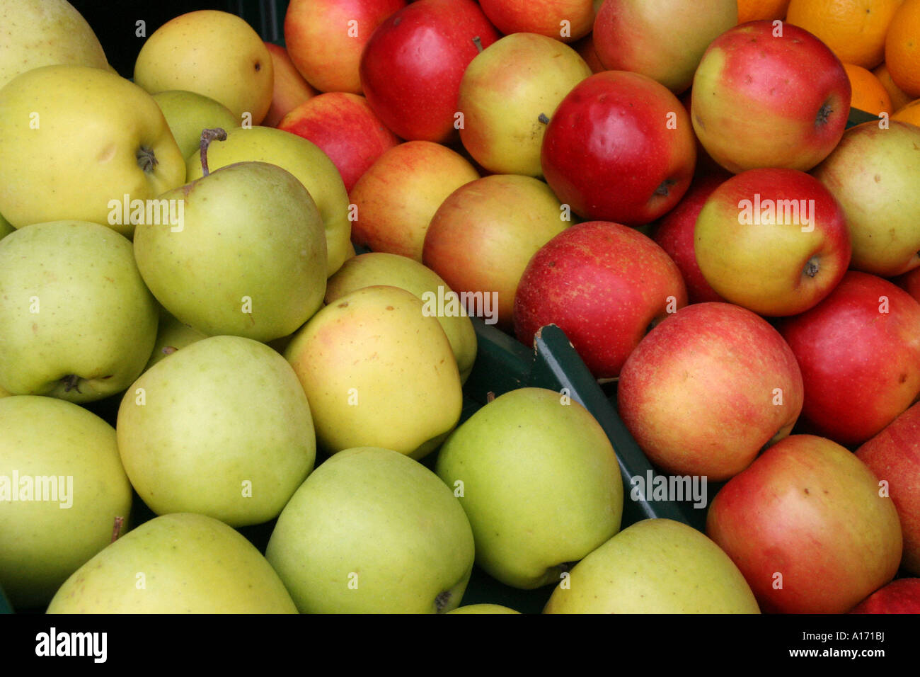 apples Stock Photo