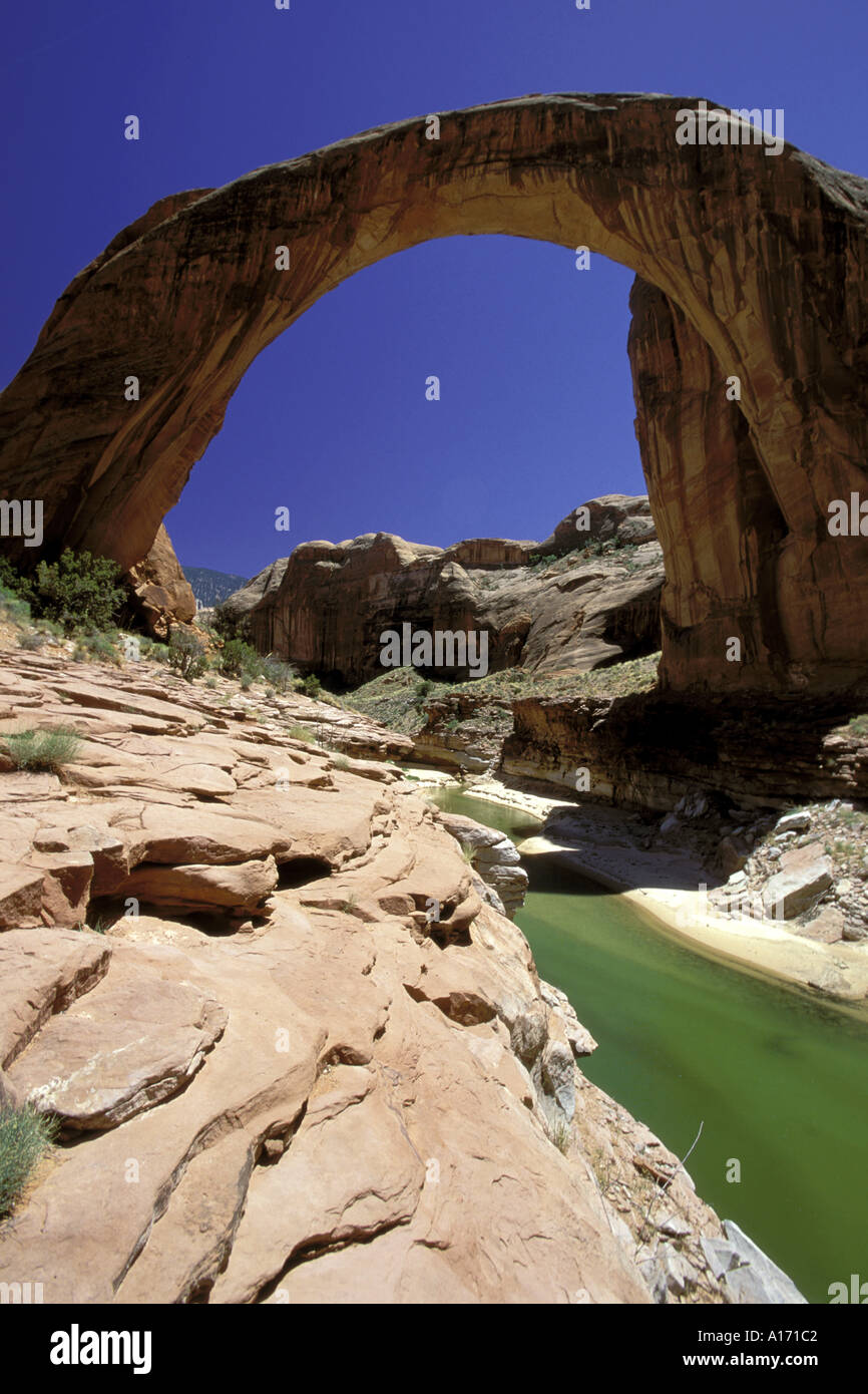rainbow bridge in lake powell Stock Photo Alamy