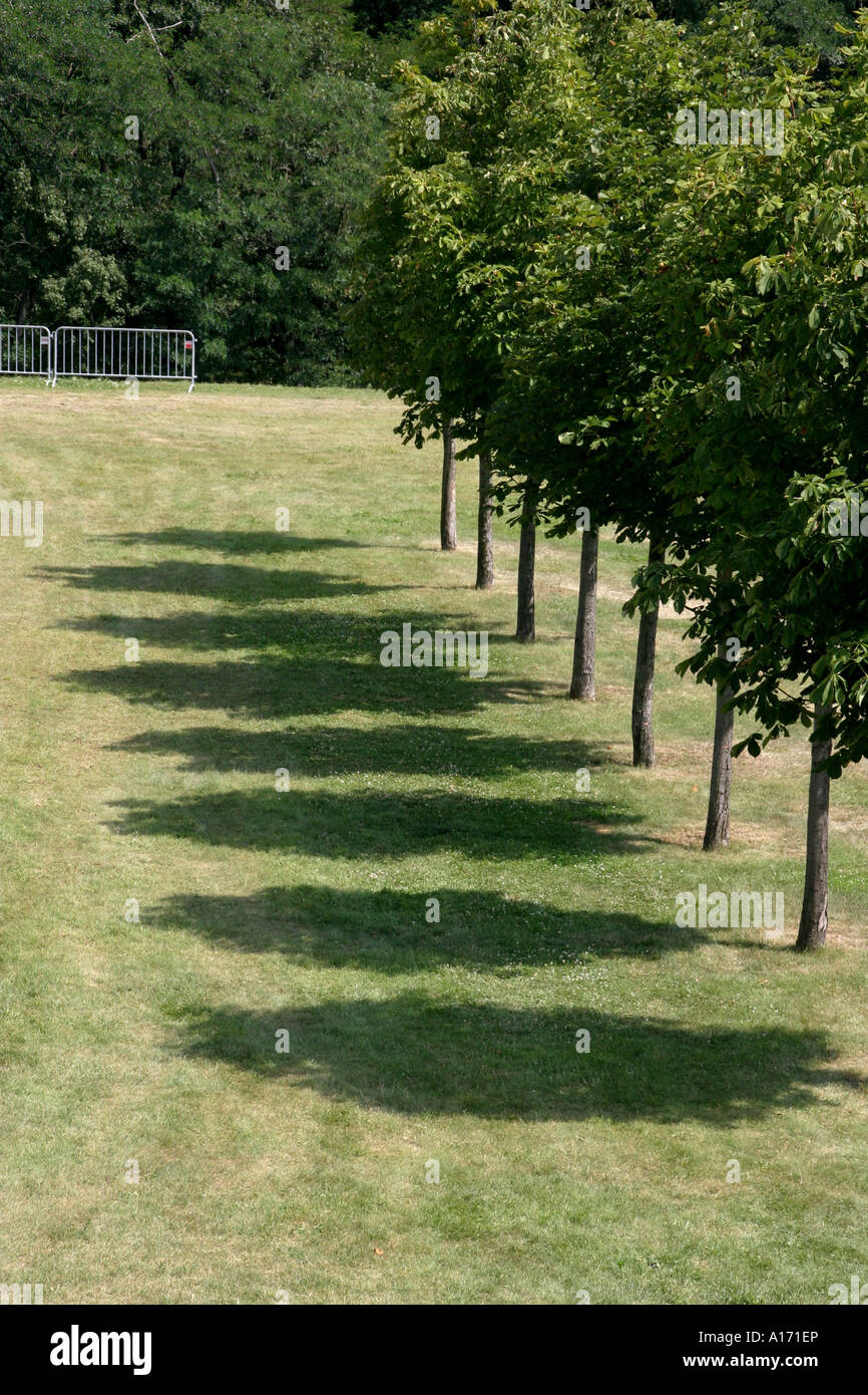 Tree avenue with shade Stock Photo Alamy