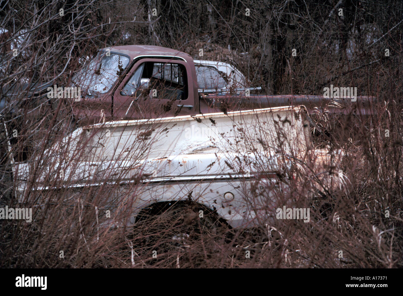 Abandoned junk cars Stock Photo - Alamy