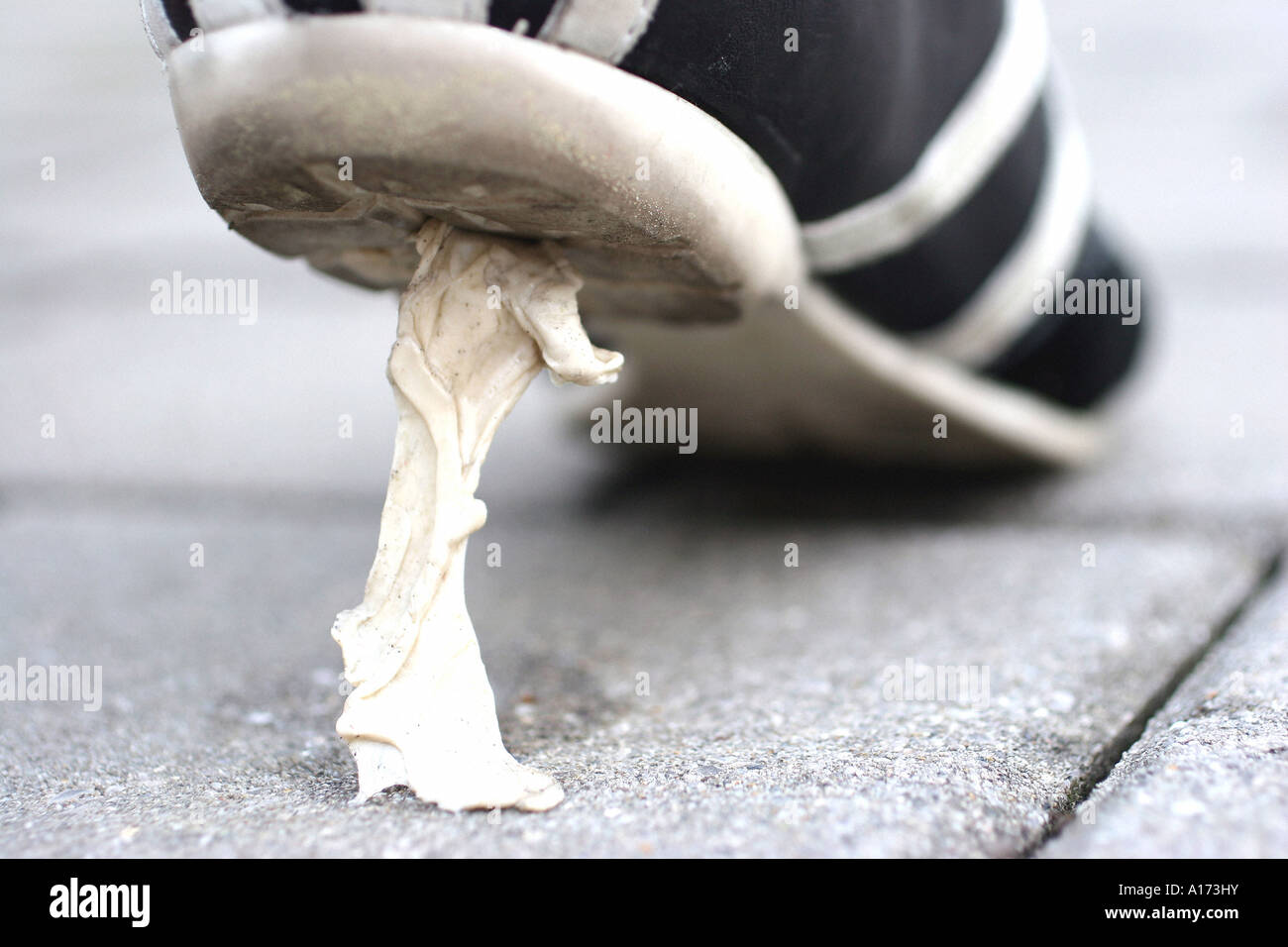chewing gum under shoe Stock Photo Alamy