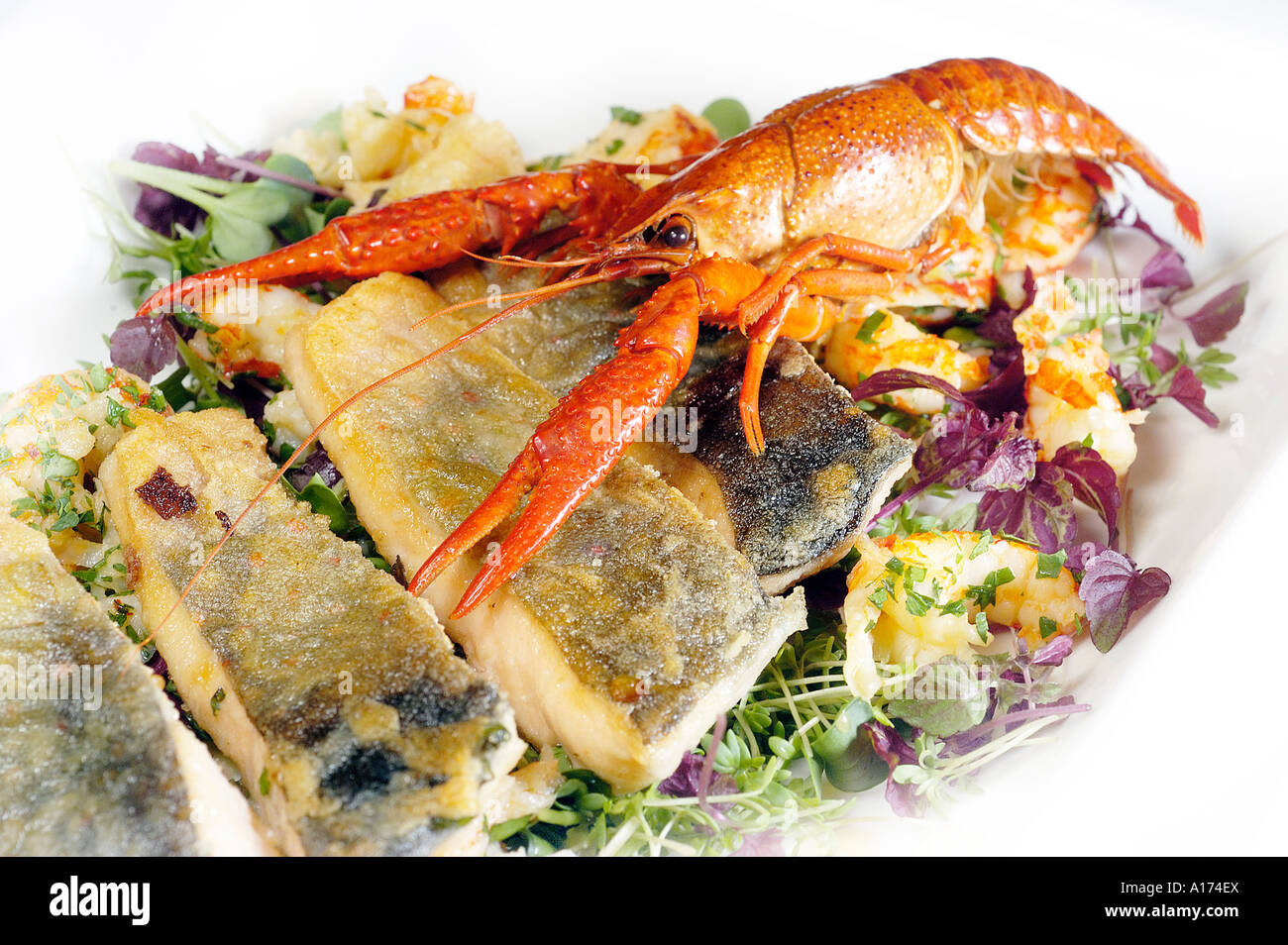 a plate with fishes Stock Photo