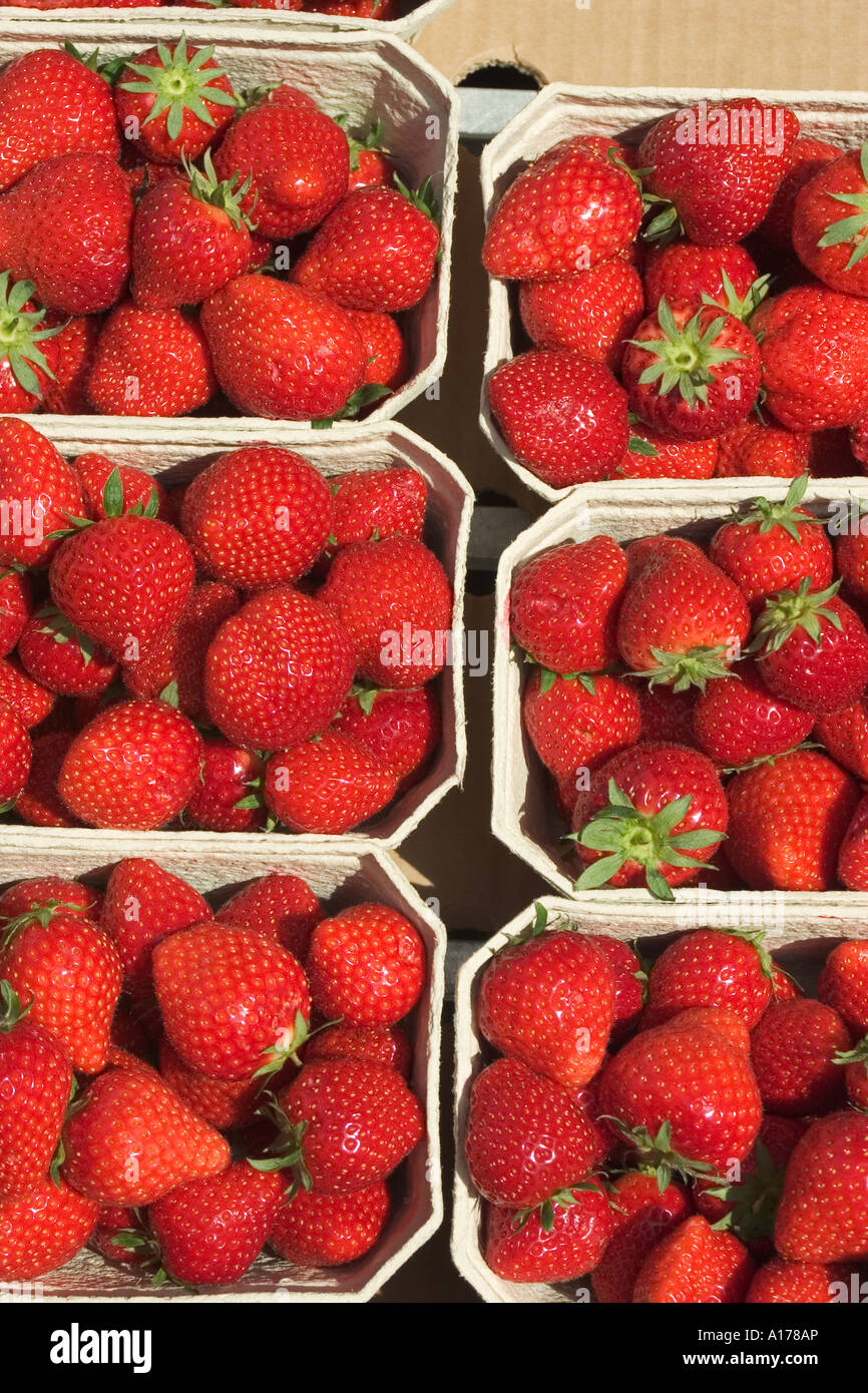 strawberry bowl Stock Photo
