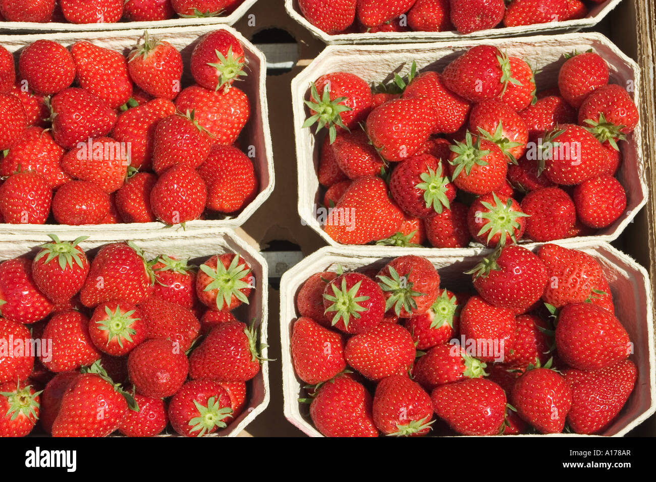 strawberry bowl Stock Photo