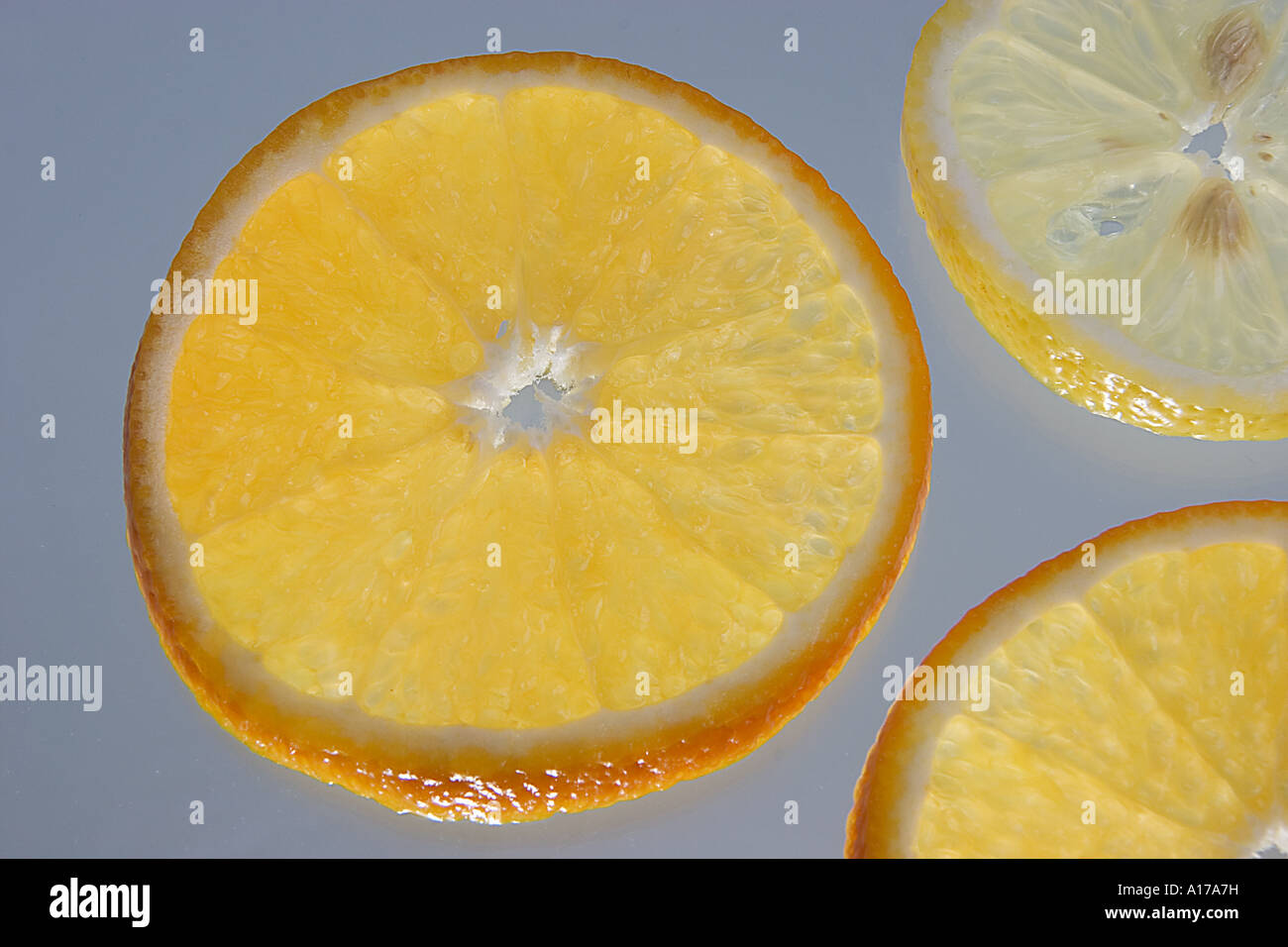 Translucently transparent hi-res stock photography and images - Alamy