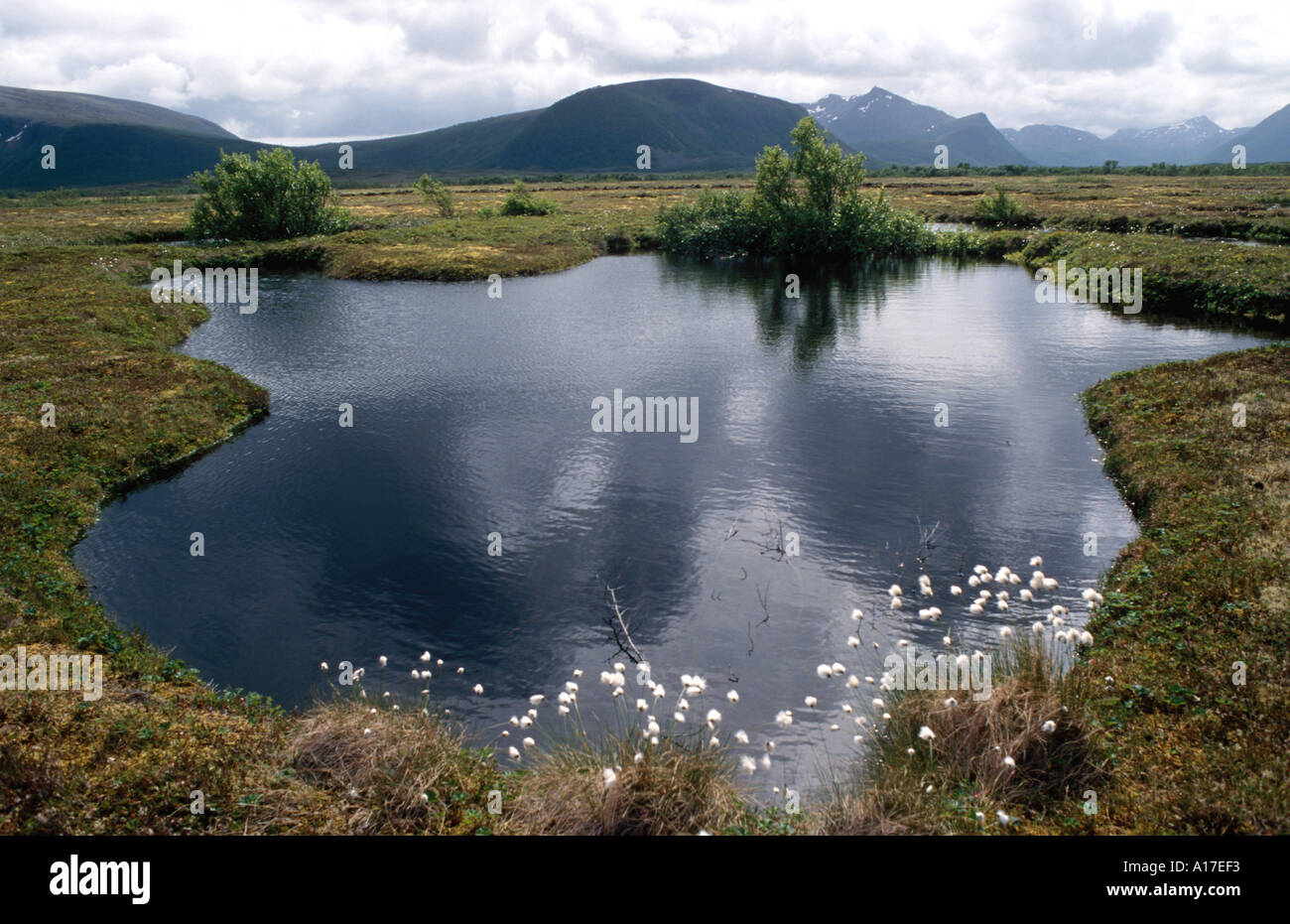 Vesteralen a island above the Lofoten near the coast from Norway Stock Photo