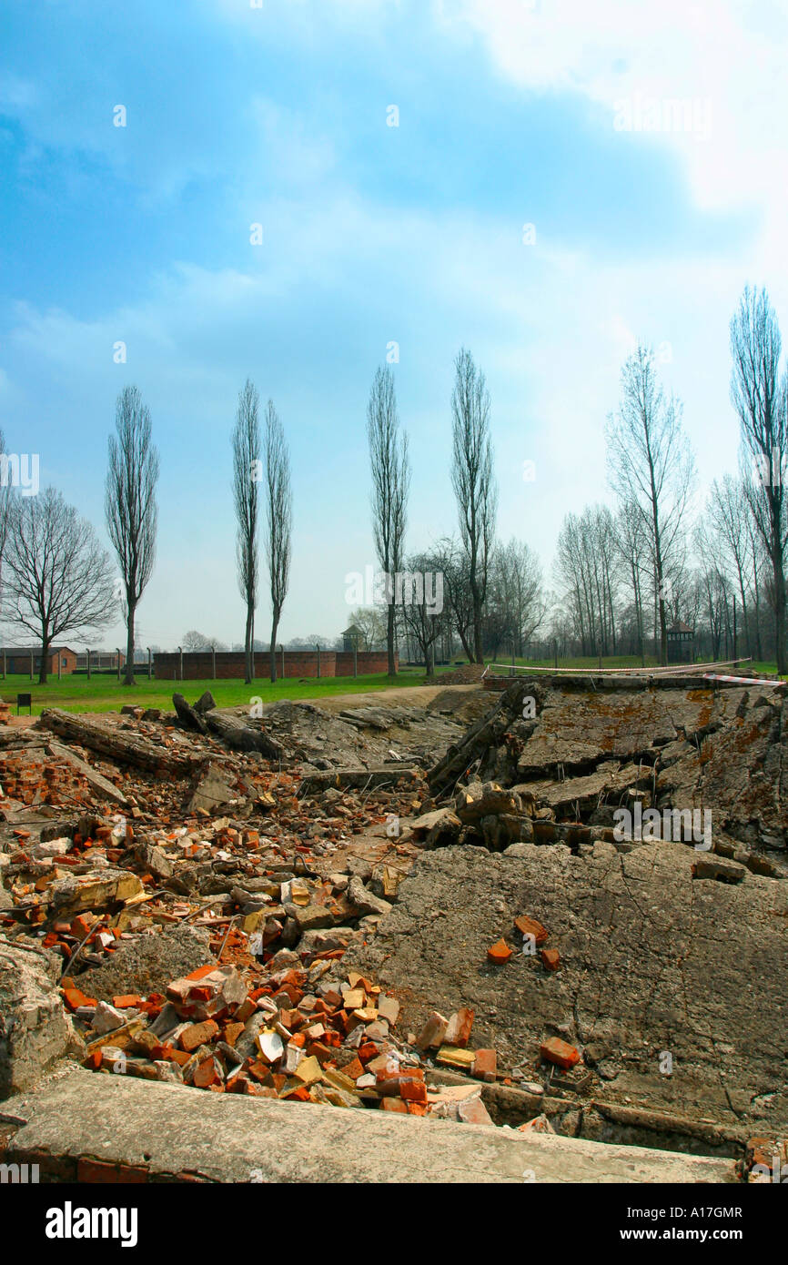 The remains of the gas chambers at Auschwitz concentration camp, Birkenau, Poland. Stock Photo