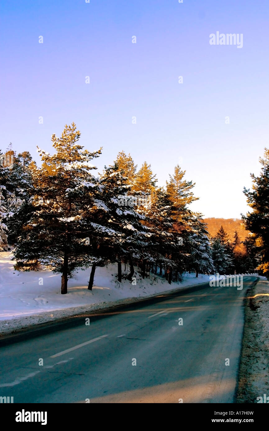 A road through the Snowy forest, Brasov, Transylvania, Romania. Stock Photo