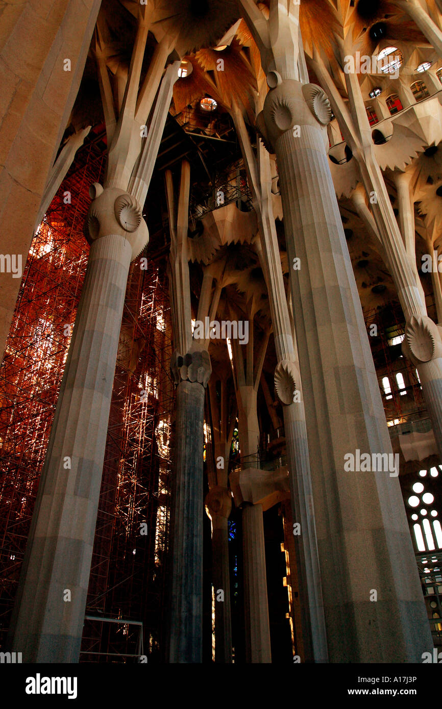 The La Sagrada Familia, Antoni Gaudi, Barcelona, Spain Stock Photo - Alamy