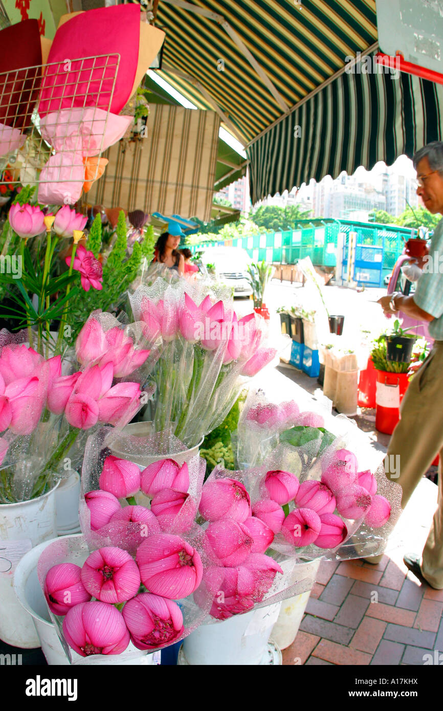 The Flower Market in Hong Kong Stock Photo Alamy