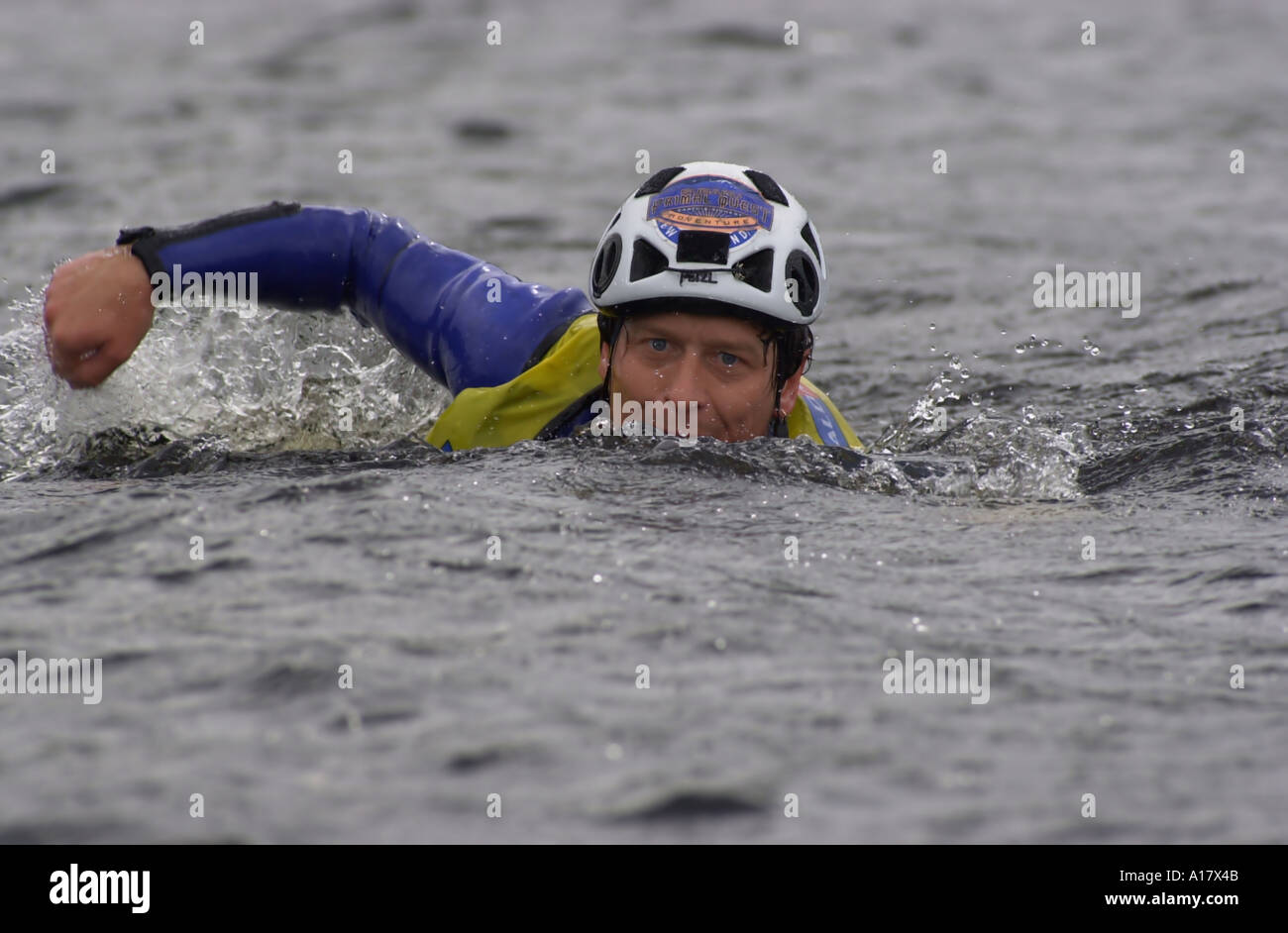 Adventure athlete swimming across open water Stock Photo - Alamy