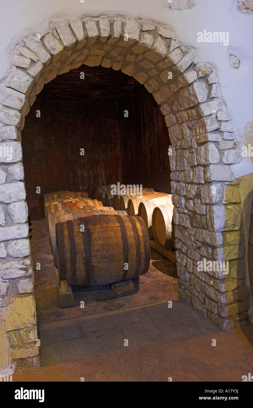 Wine casks through arch in cellars Stock Photo