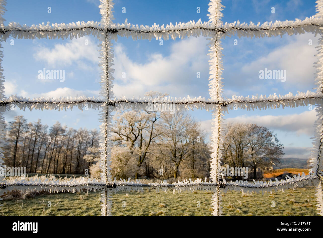 Frost covered fence wire against blue sky , field and bridge , Bampton Grange , Cumbria , England Stock Photo