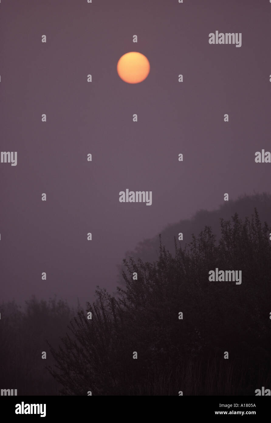 Spring Sunrise on the Somerset Levels Stock Photo Alamy