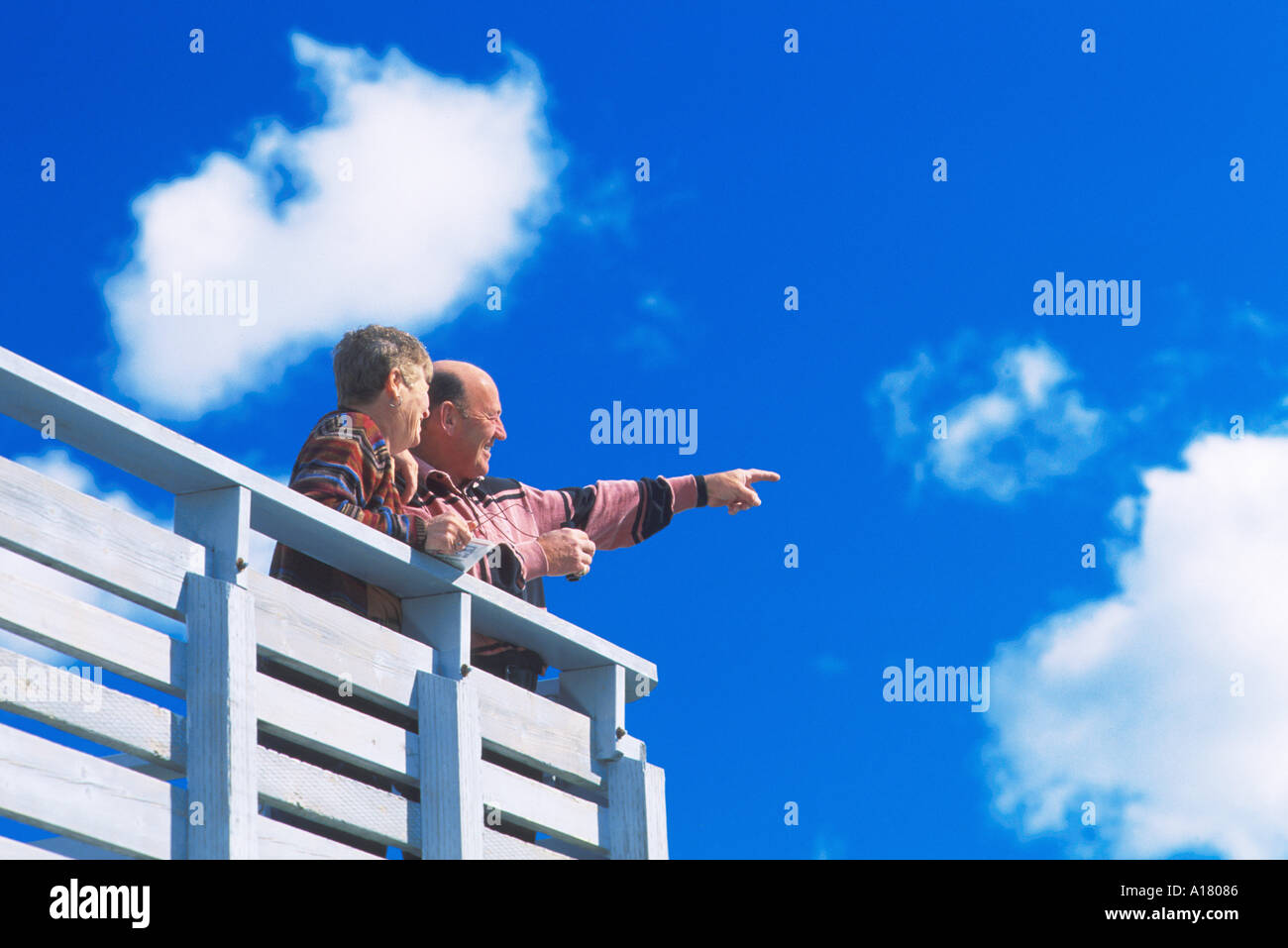 Older couple bird watching hi-res stock photography and images - Alamy