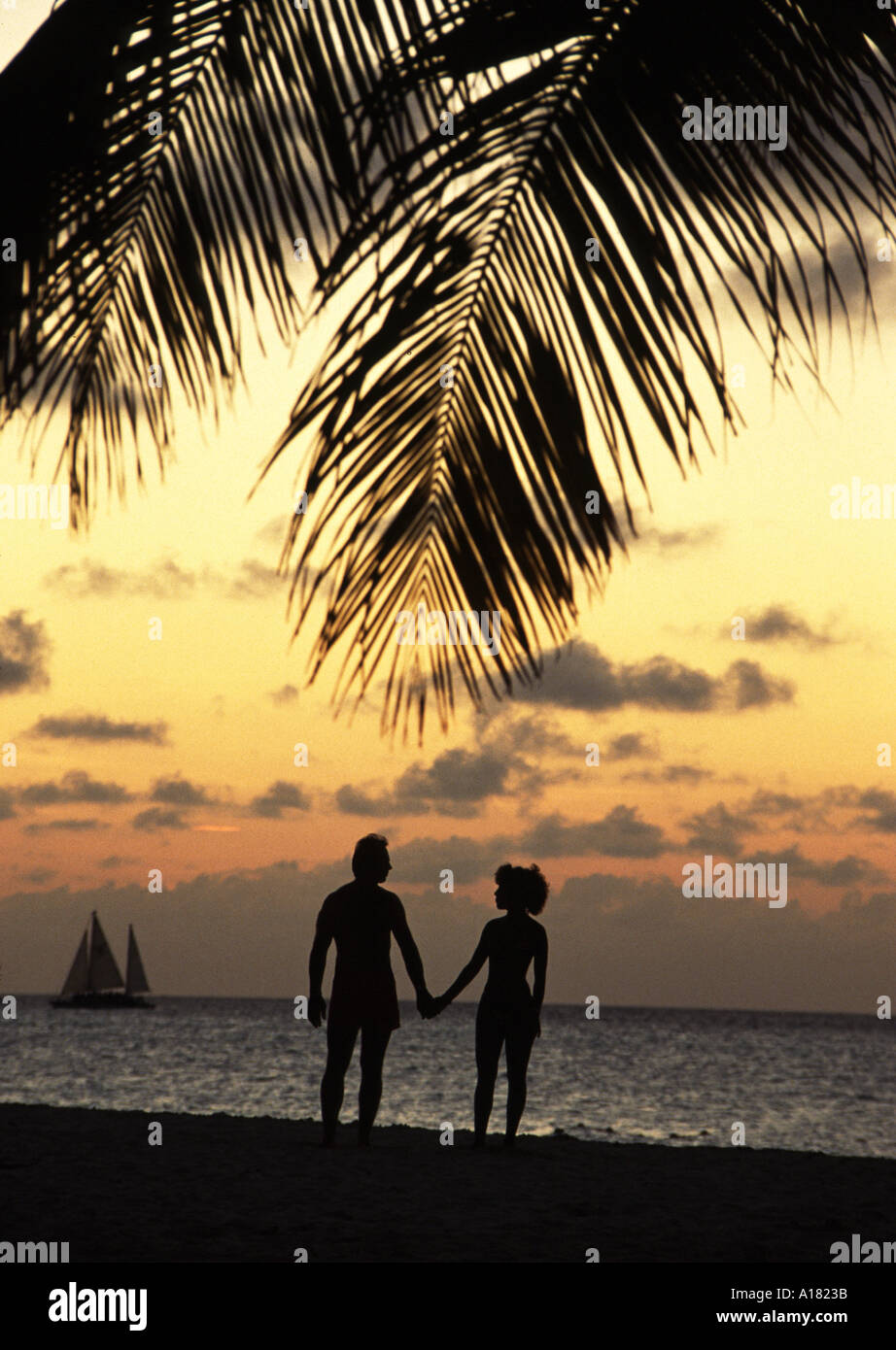 Couple enjoying a romantic sunset on the beach with palm in Caribbean ...