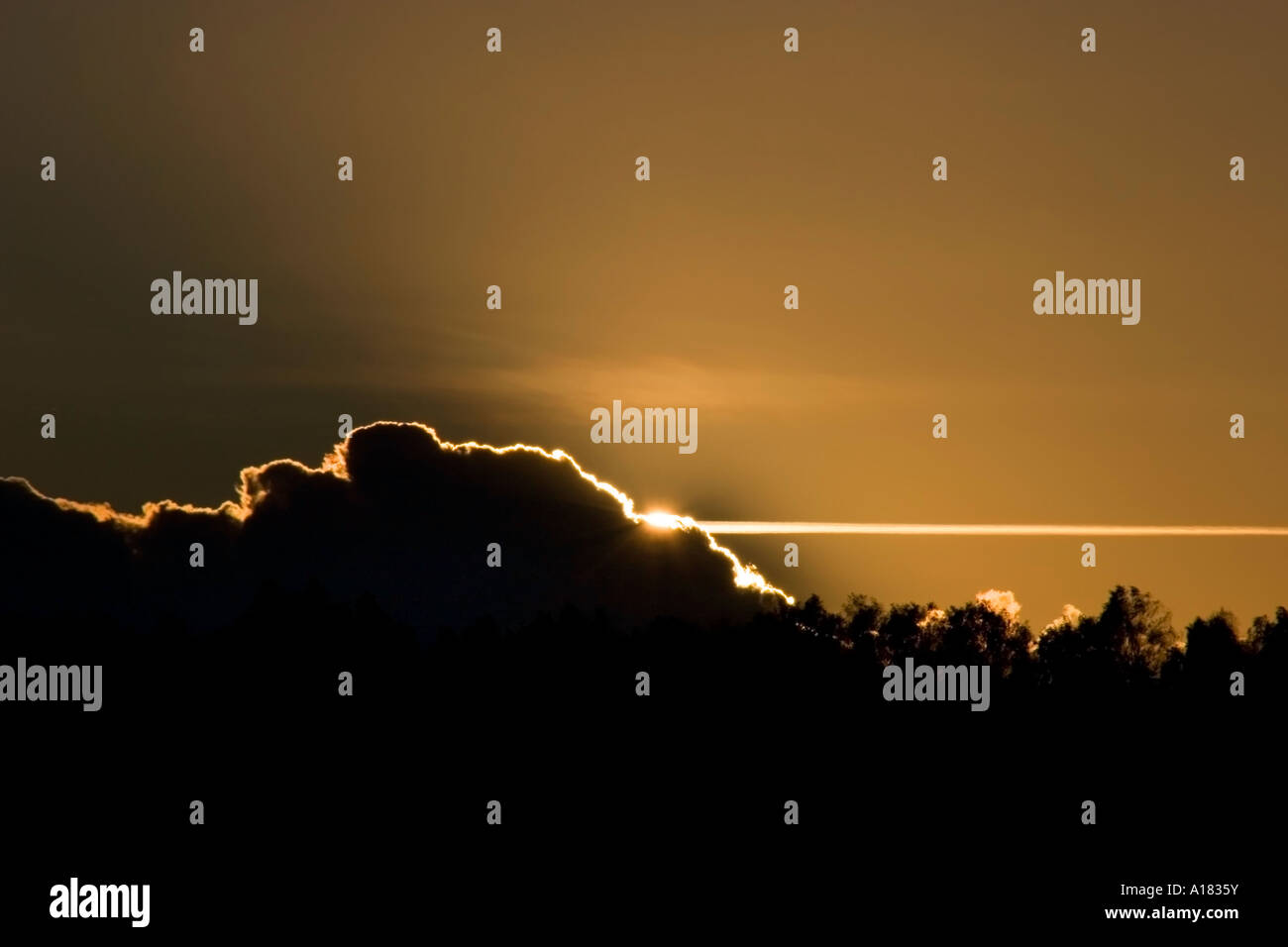 Sun Setting Low setting sun behind low cloud and jet stream Stock Photo - Alamy