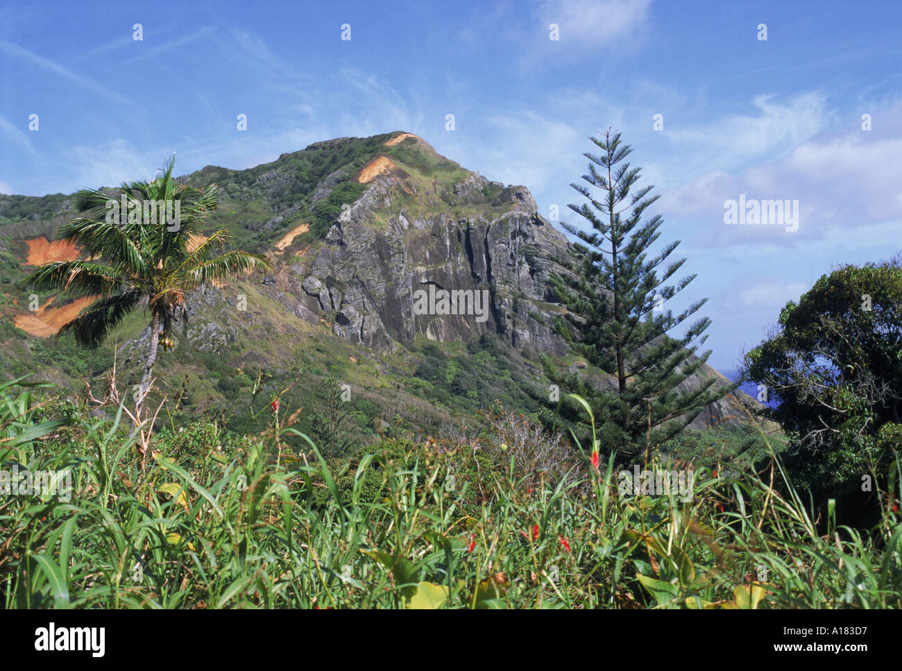 Landscape of rocky hills and vegetation on Pitcairn Island Pacific S
