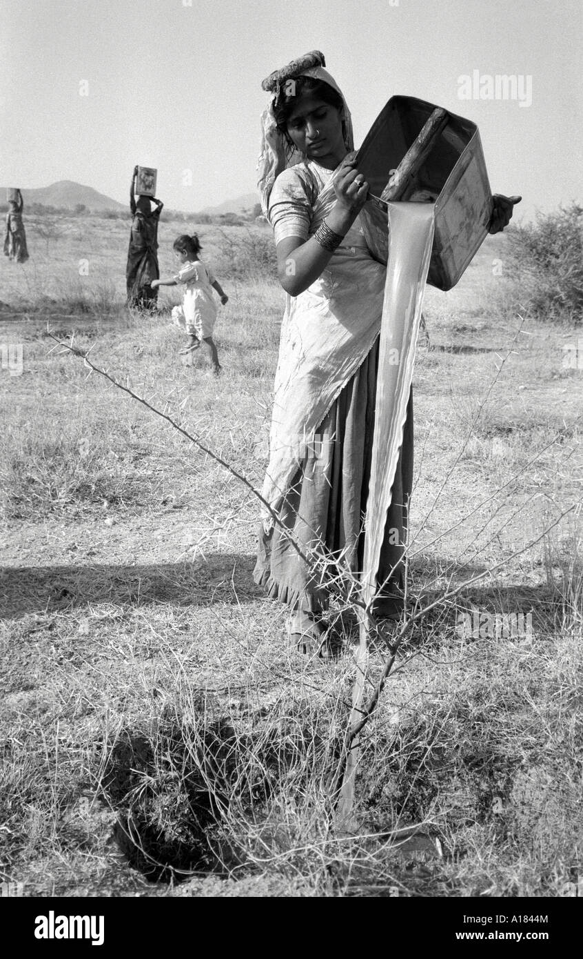 B/W of villagers watering tree saplings on a reforestation programme in a treeless and drought prone area of Gujarat, India Stock Photo