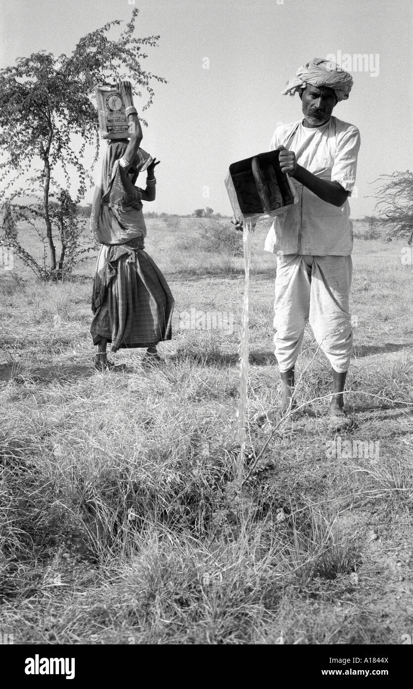 B/W of villagers watering tree saplings on a reforestation programme in a treeless and drought prone area of Gujarat, India Stock Photo