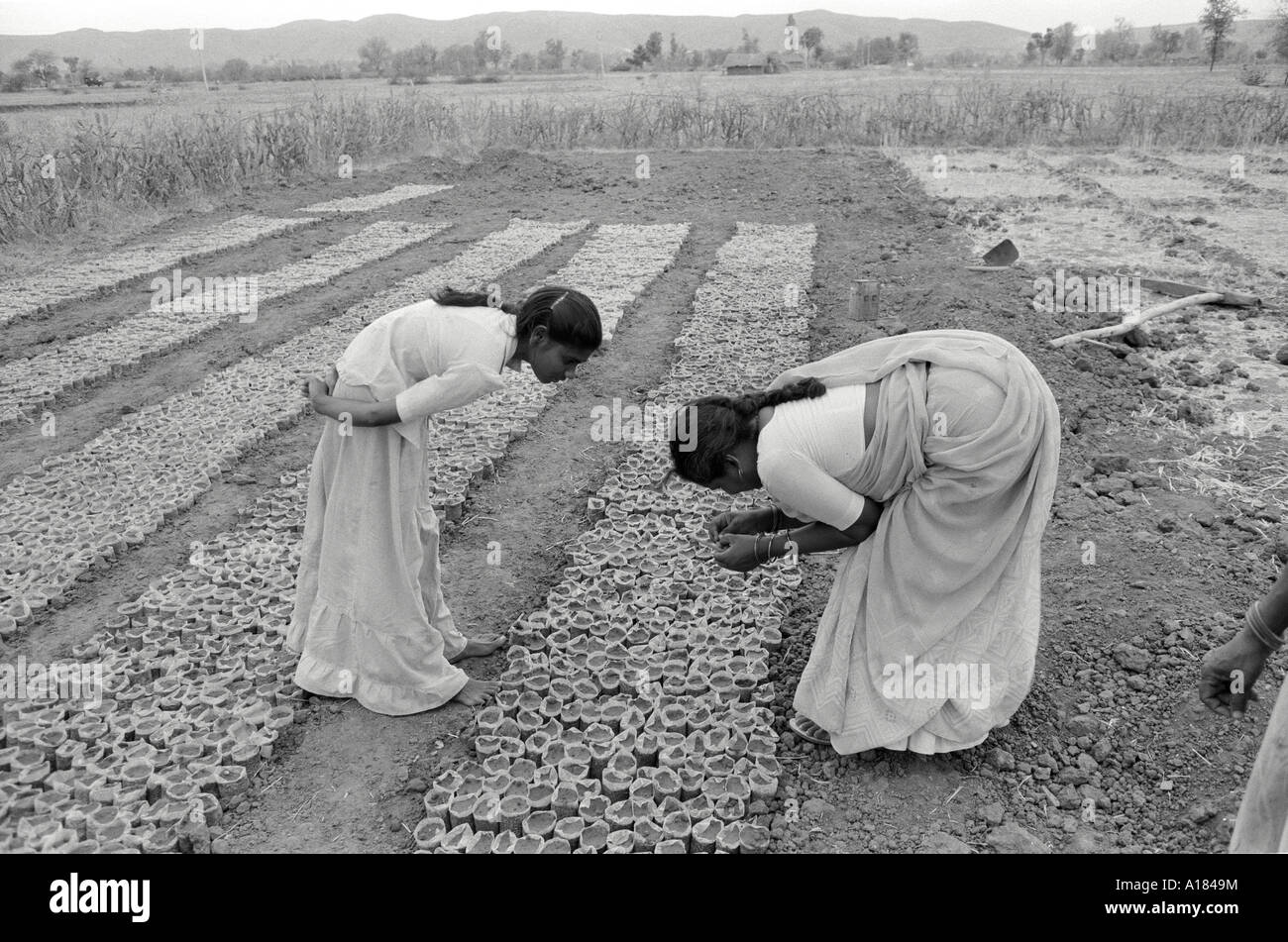 B/W of two female workers checking saplings in a tree nursery on a reforestation programme. Gujarat, India Stock Photo