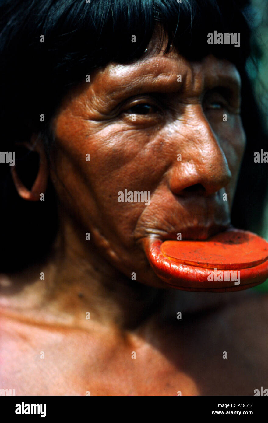 Xingu tribesman Brazil C Leimbach Stock Photo