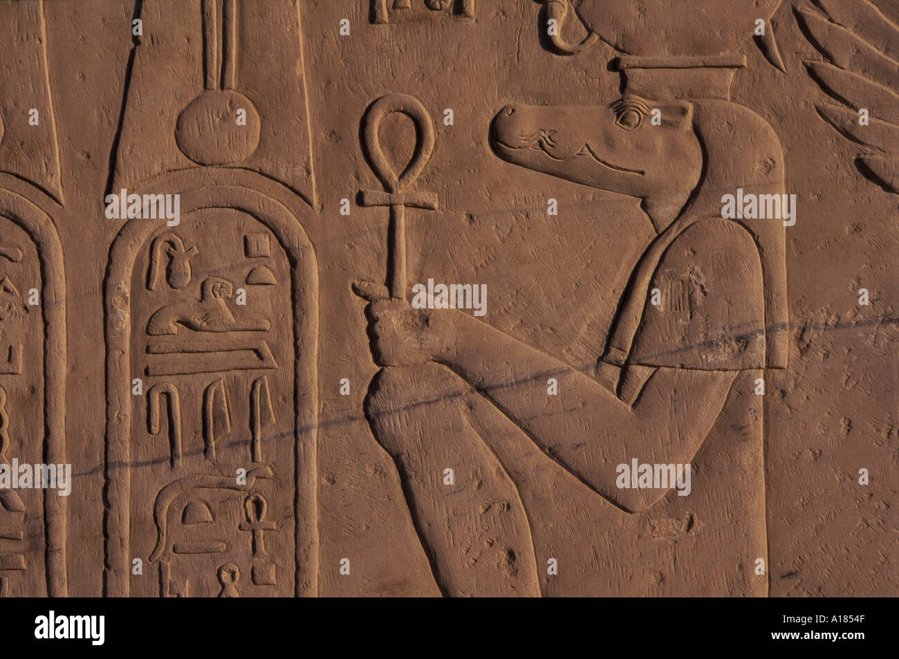 Detail of relief carving of the Crocodile god Kom Ombo Egypt M Short Stock Photo