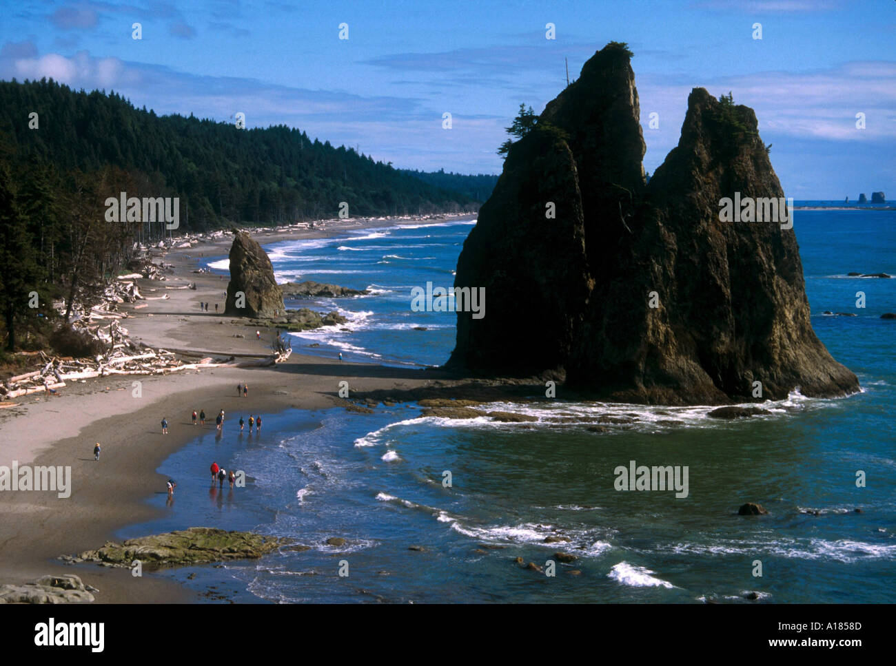 Riatloo Rocks Cake Rock on Rialto Beach Olympic National Park Washington State USA A ...