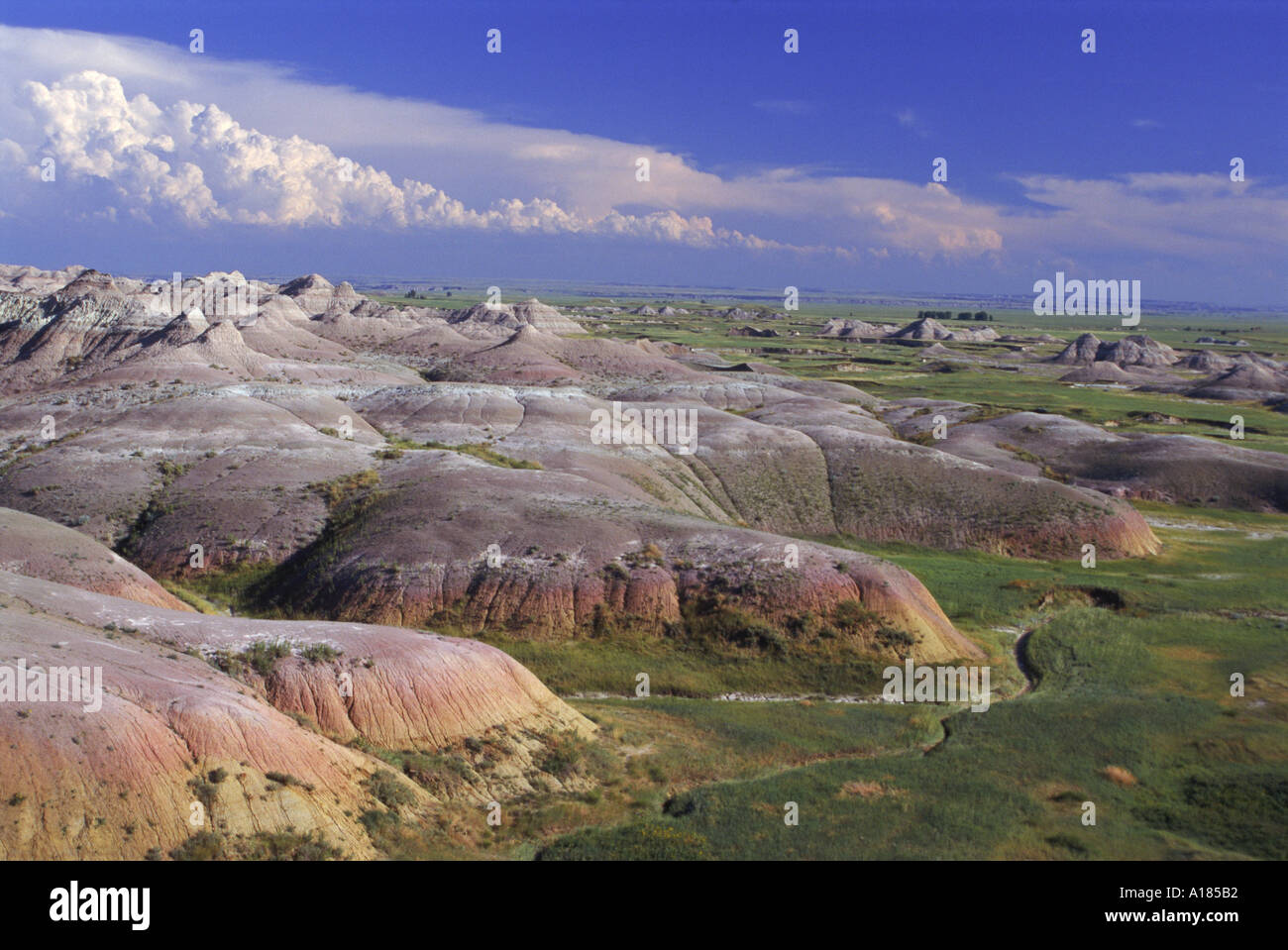 Gullies eroded into the Pierre shales below Loop Road in the Sage Creek wilderness in the Badlands National Park South Dakota Stock Photo
