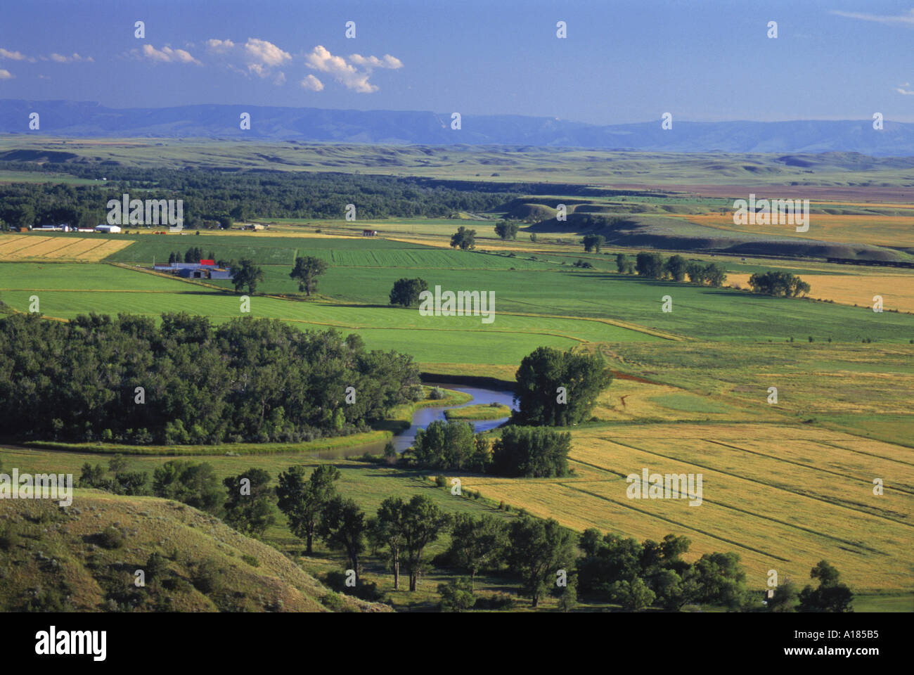 Agricultural landscape in the valley of the Little Bighorn River near