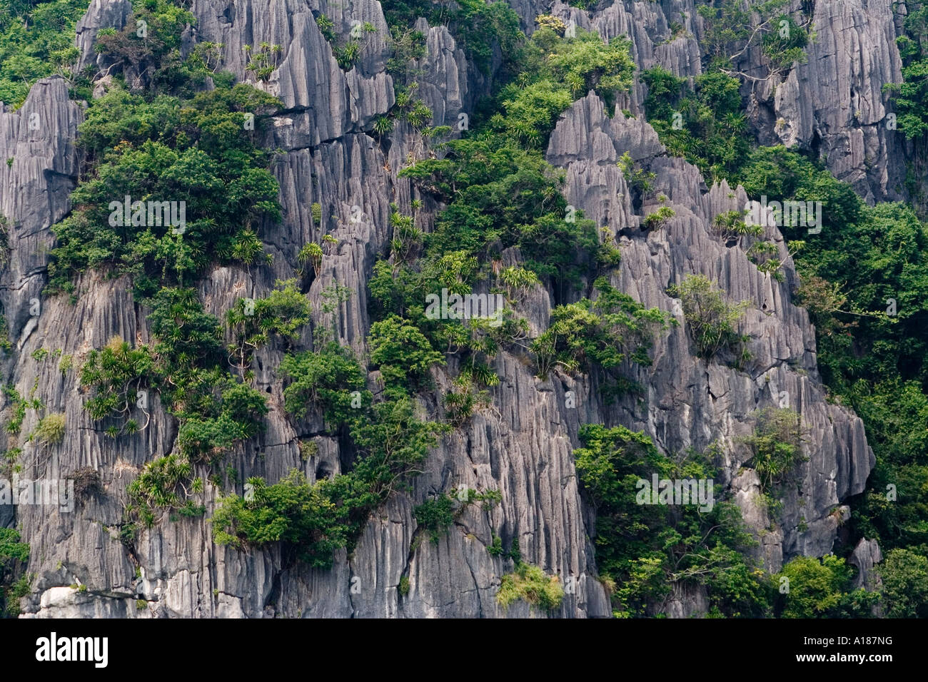 Limestone Island Rocks Halong Bay Vietnam Stock Photo - Alamy