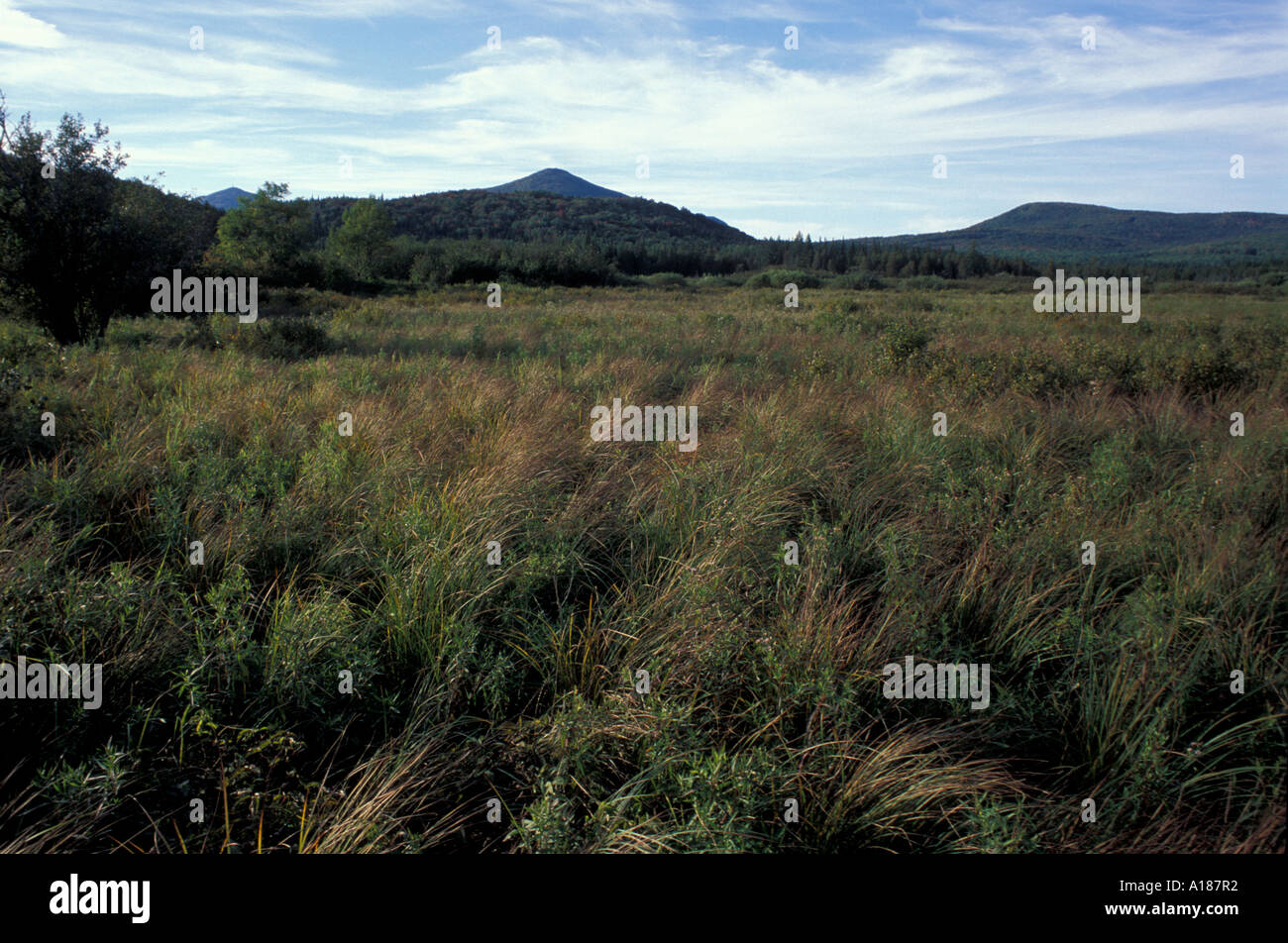 Victory Bog VT After sunset Wetland Victory Basin Wildlife Management