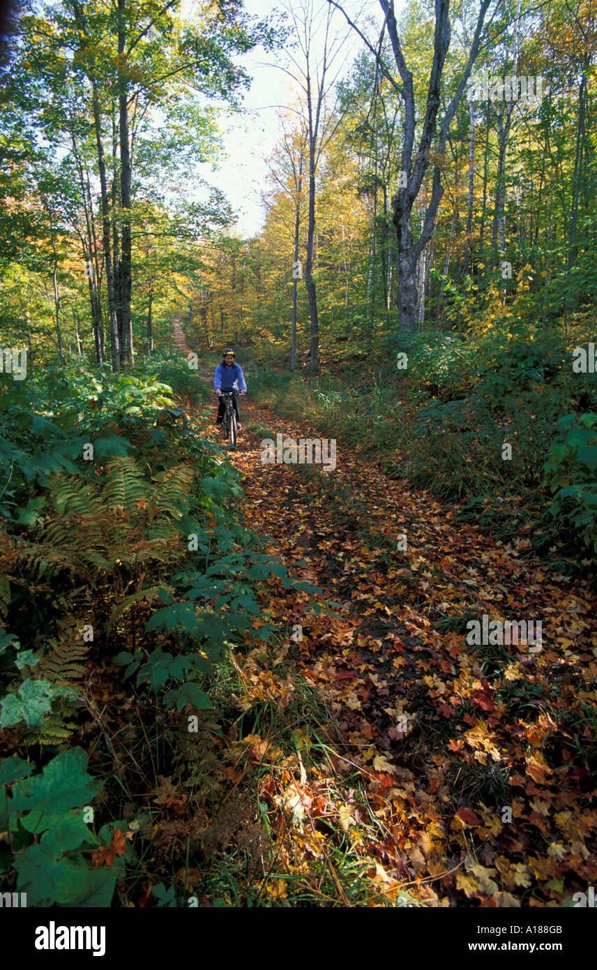 Fall in Vermont s Green Mountains Mountain biking on an old logging