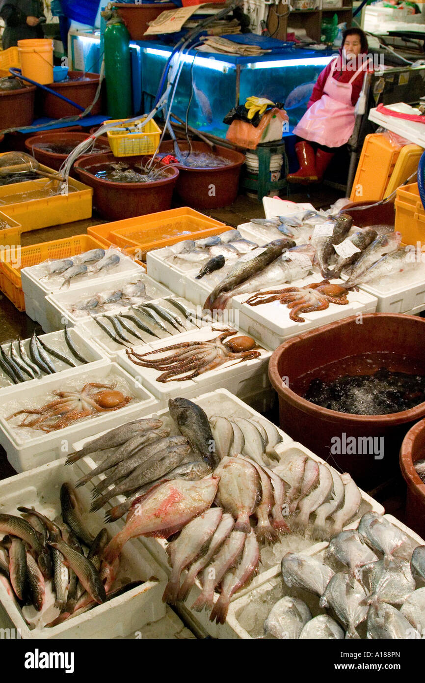 Noryangjin Fish Seafood Market Seoul Korea Stock Photo Alamy