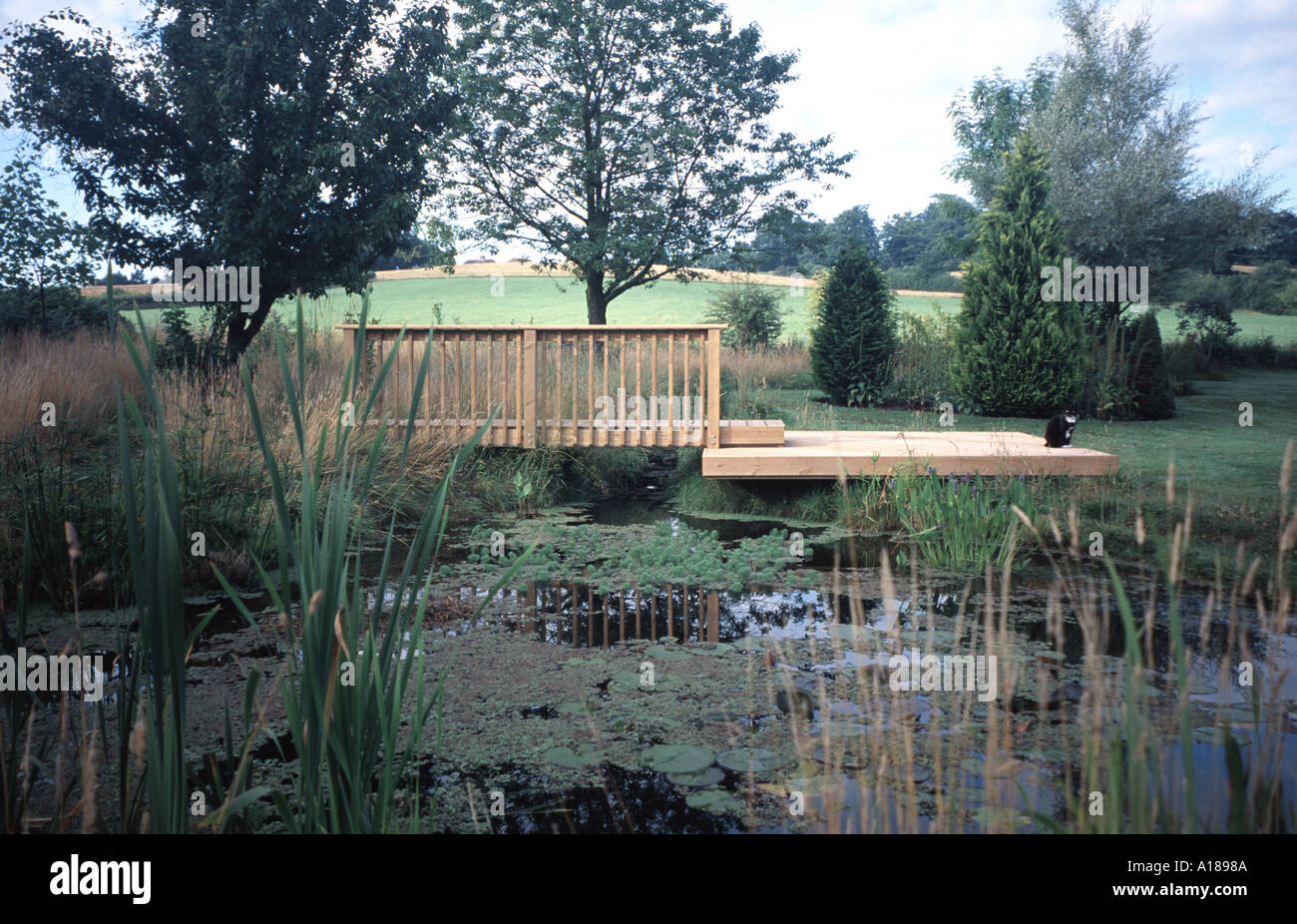 Natural pond with decking jetty and bridge With butyl liner The edges are turfed right into the pond to make it more natural Stock Photo