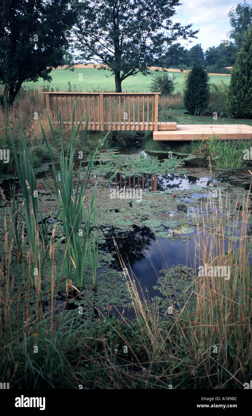 Natural pond with decking jetty and bridge With butyl liner The edges are turfed right into the pond to make it more natural Stock Photo