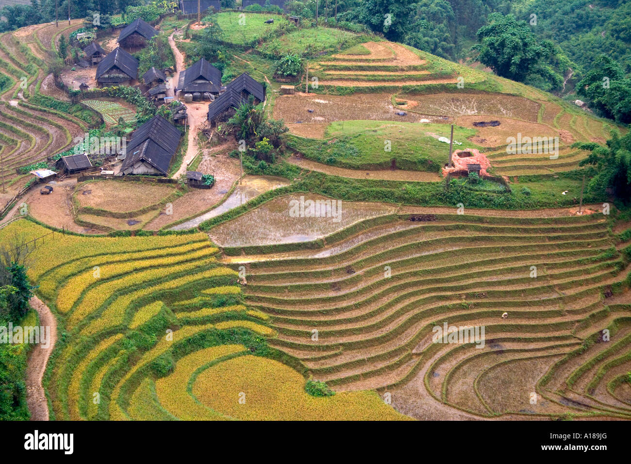 Terrace rice field hi-res stock photography and images - Alamy