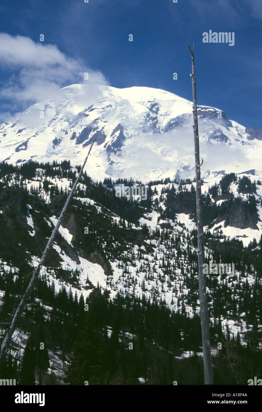Stevens canyon mount rainier hi-res stock photography and images - Alamy