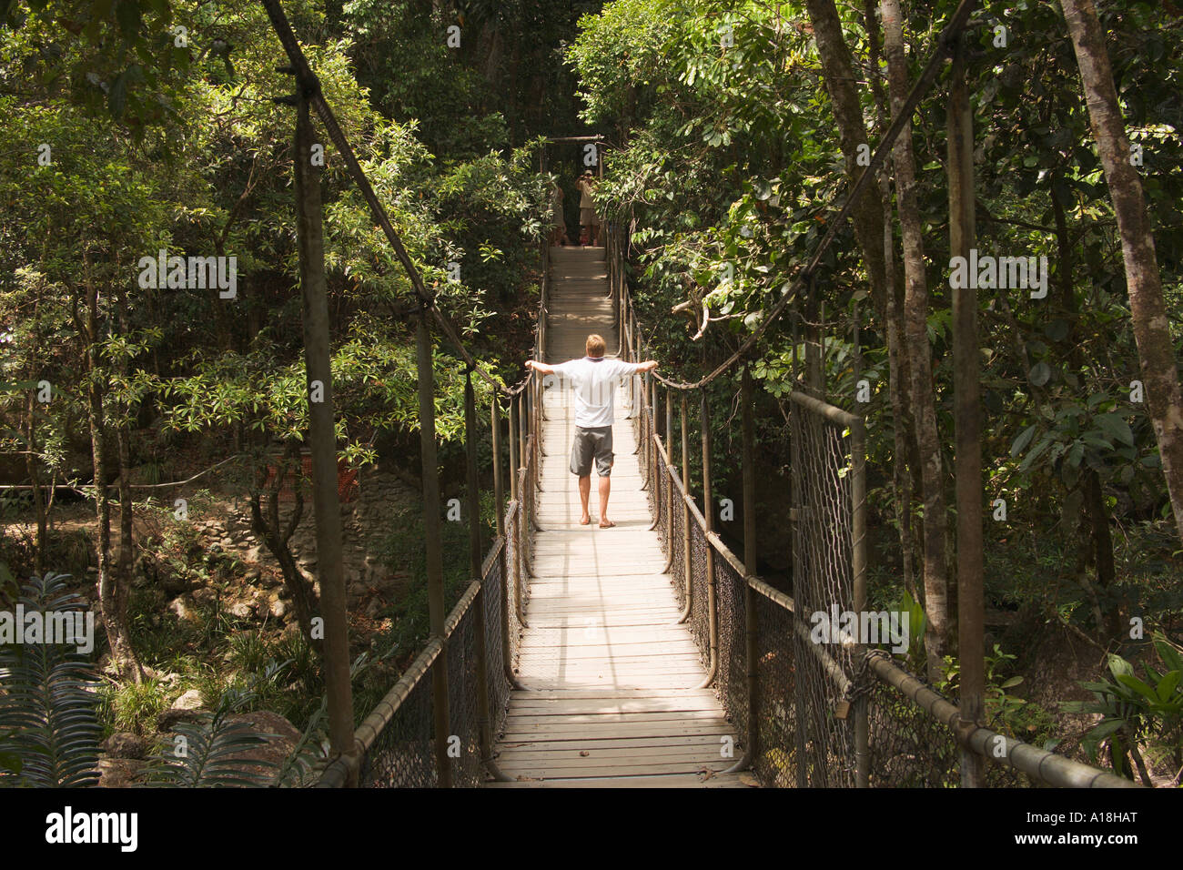 Tourist on rope bridge Mossman Gorge Daintree National Park Stock Photo ...