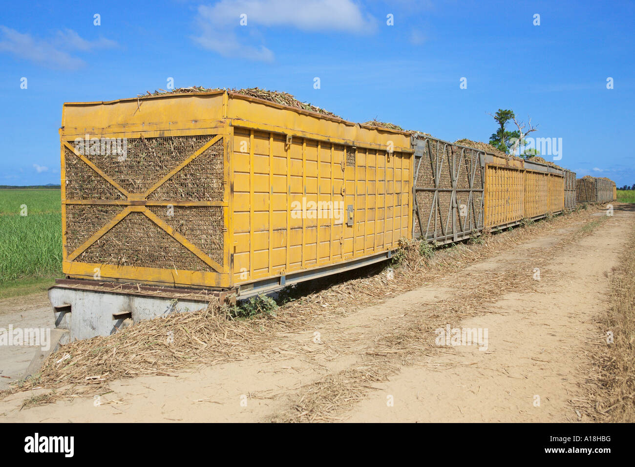 Sugar cane in railway transport wagon Daintree Queensland Stock Photo