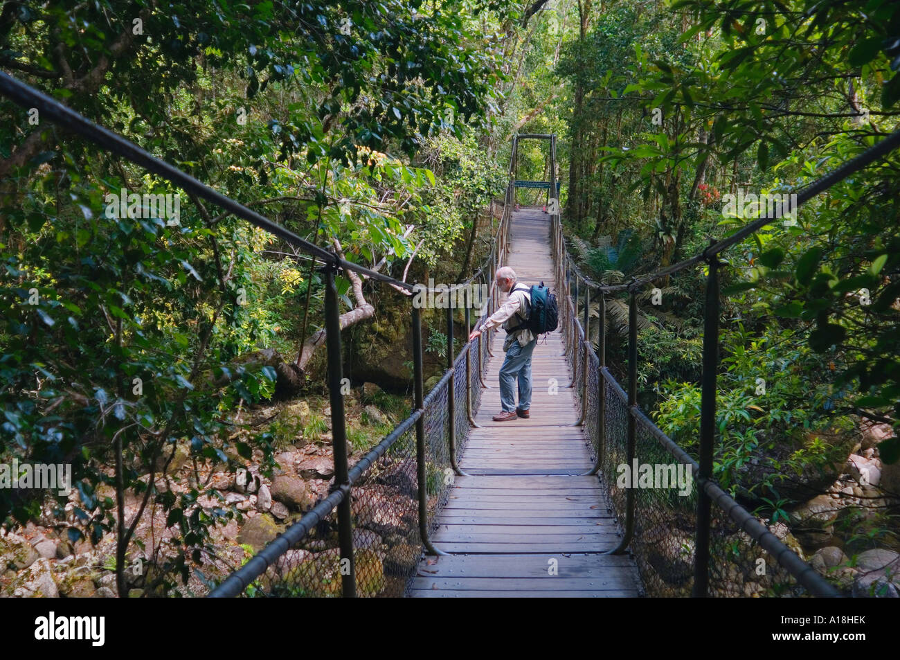 Tourist on rope bridge Mossman Gorge Daintree National Park Stock Photo ...