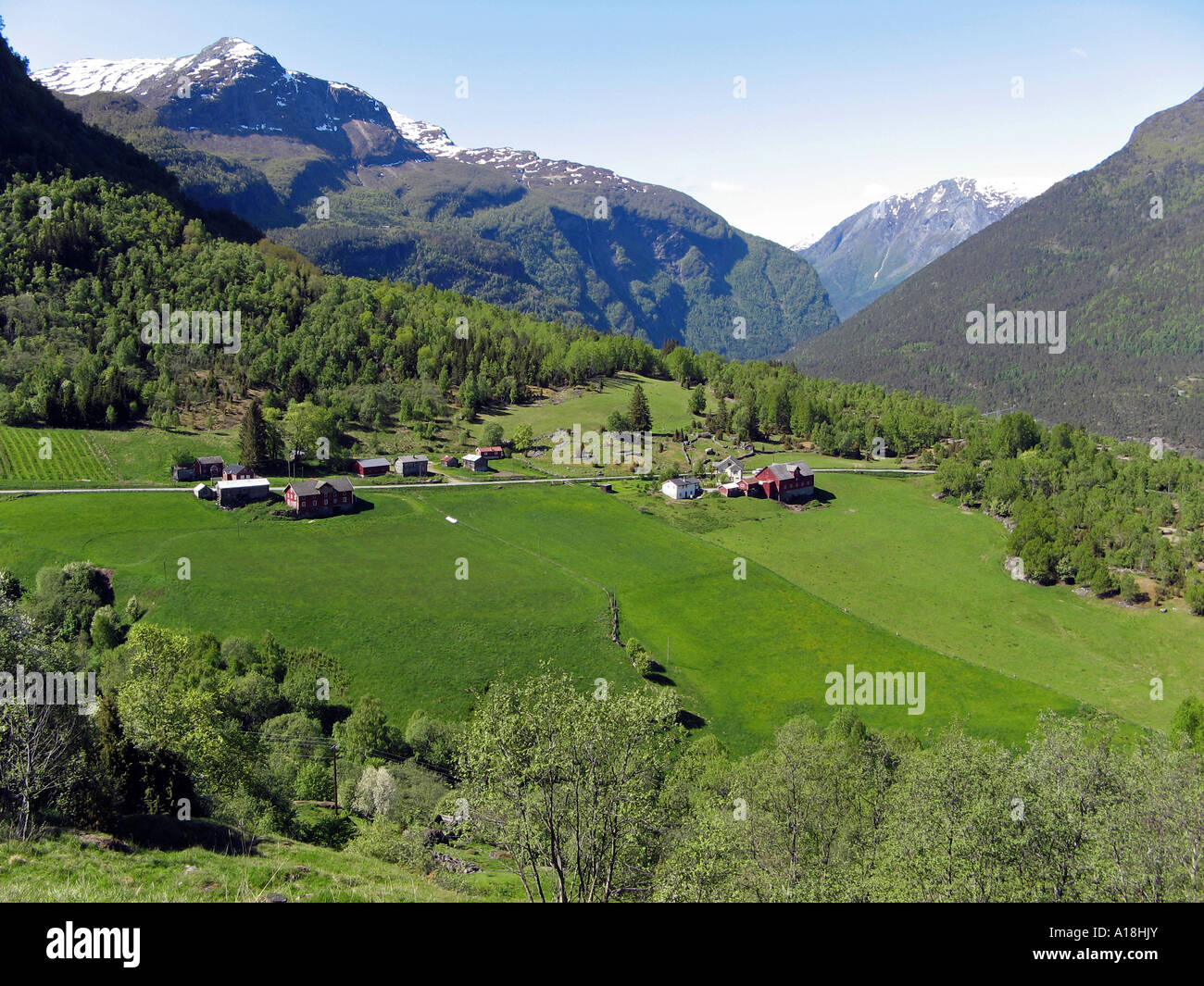 Green meadow and farm houses in Opptun, Fortun, Sogn og Fjordane, Norway Stock Photo