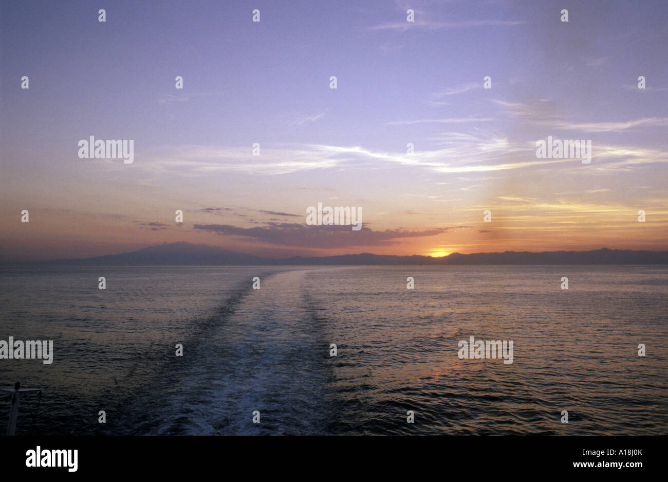 Anus cruise ships was Congratulate, remarkable Anus cruise ships something is