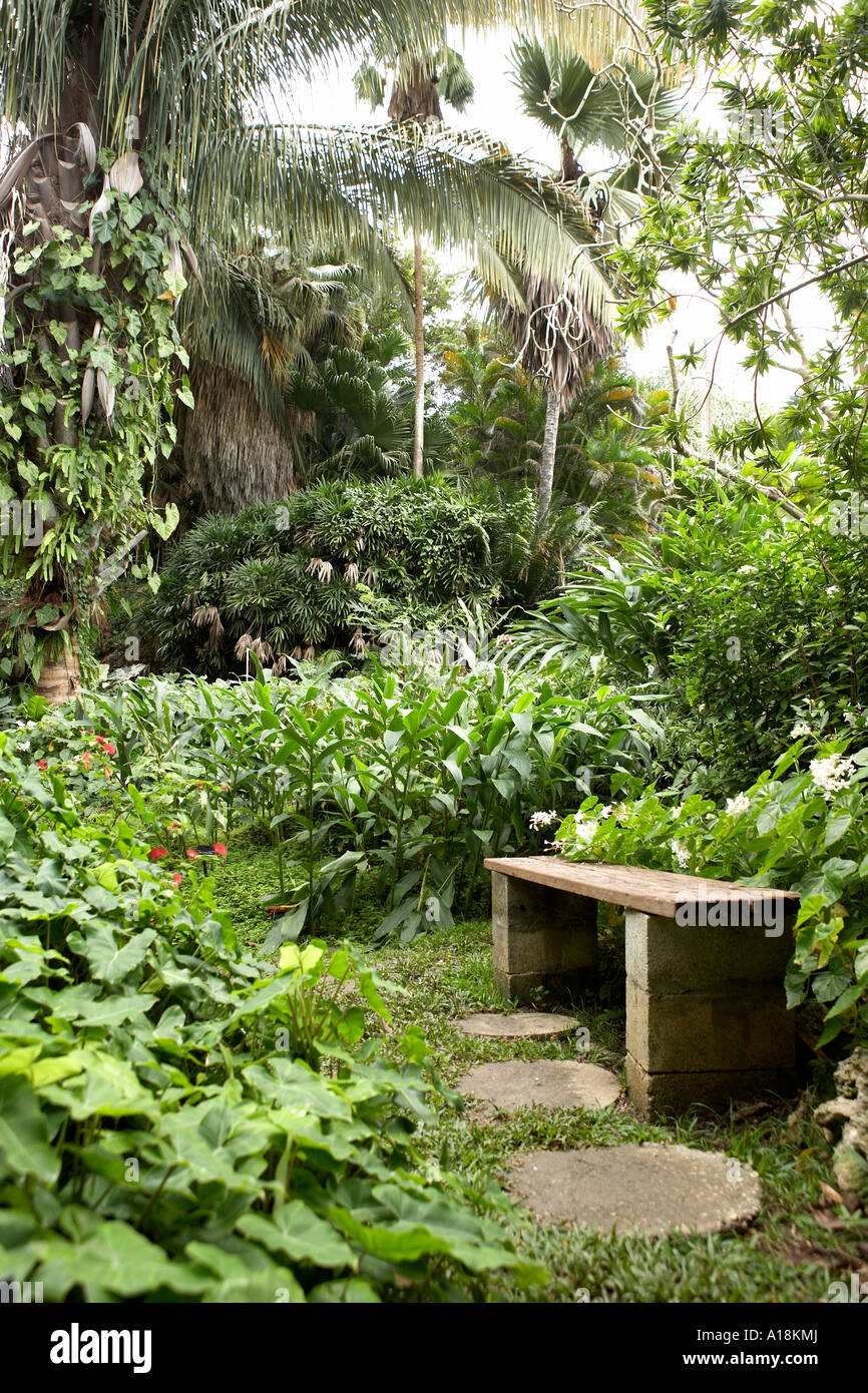 Andromeda Botanic Gardens Barbados Caribbean West Indies Stock