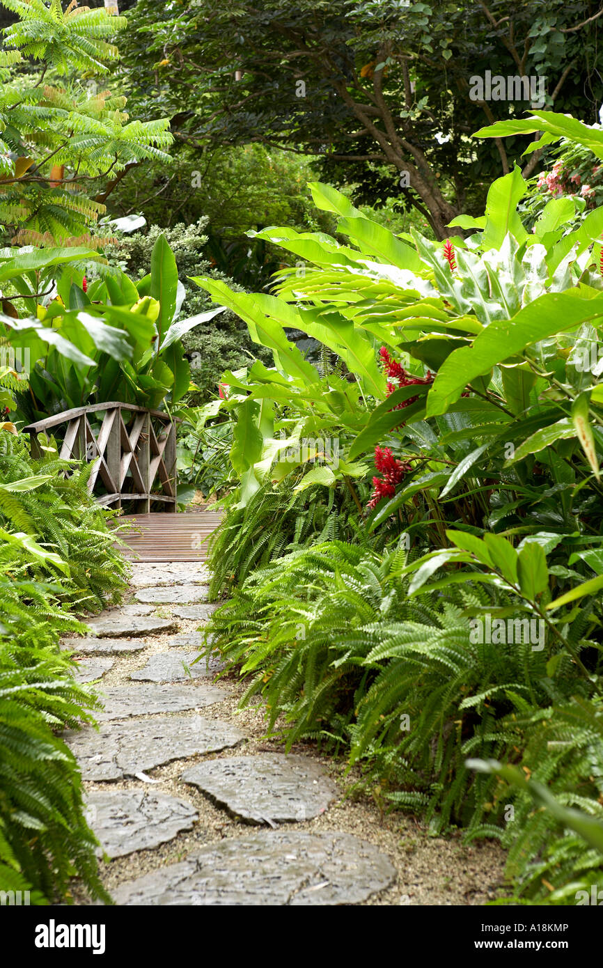 Andromeda Botanic Gardens Barbados Caribbean West Indies Stock