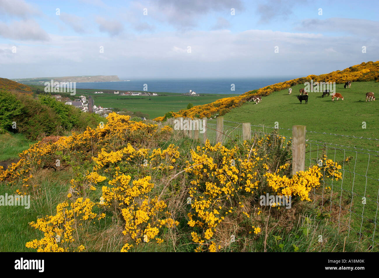 Coastal walk co antrim hires stock photography and images Alamy