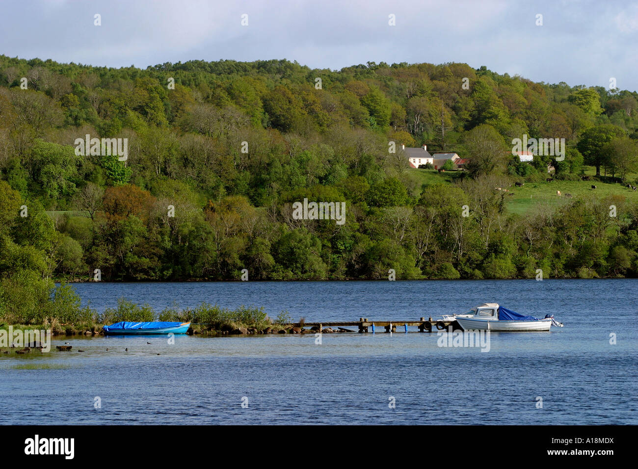 Fermanagh Lake District Stock Photos Fermanagh Lake District
