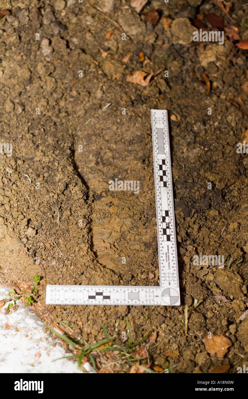 Crime 2024 scene ruler